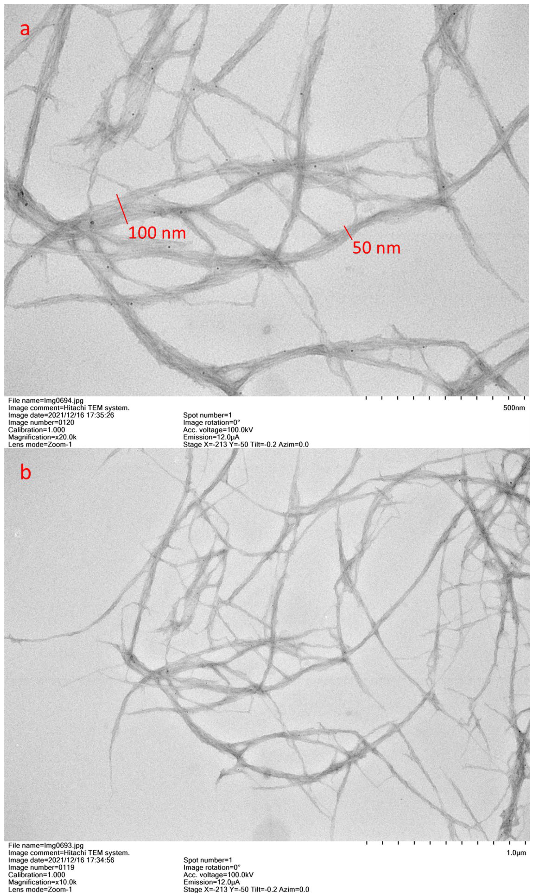Membranes 12 01082 g002