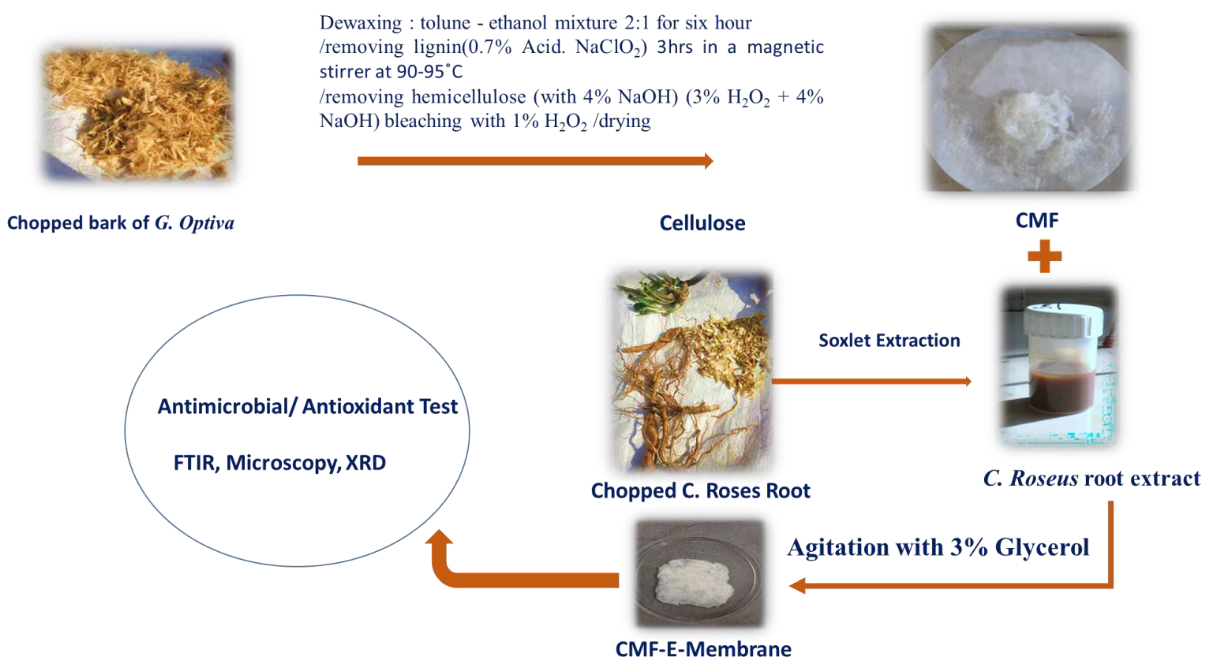 Membranes 12 01089 g001