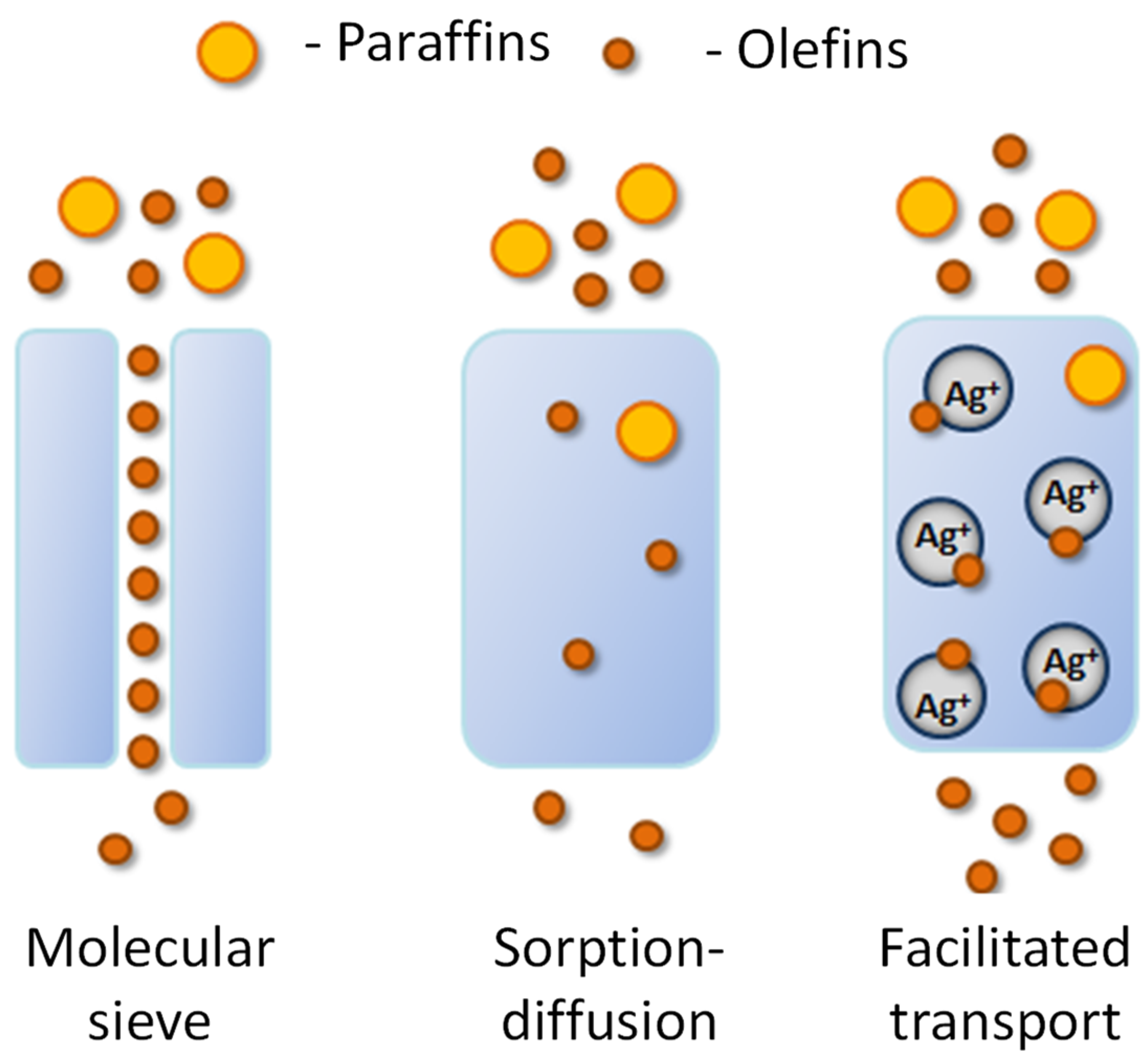 Membranes 12 01090 g001