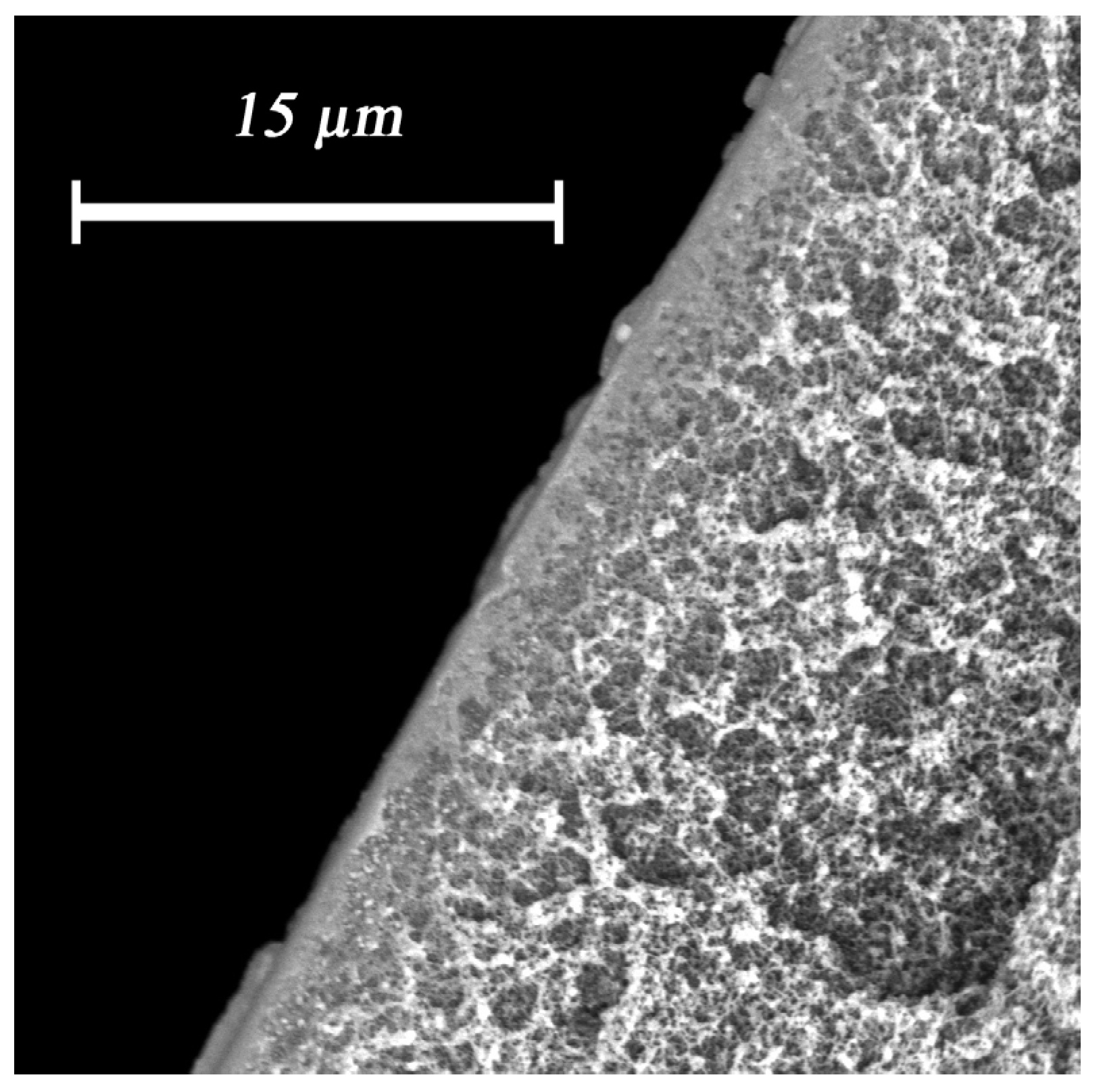 Membranes 12 01090 g010