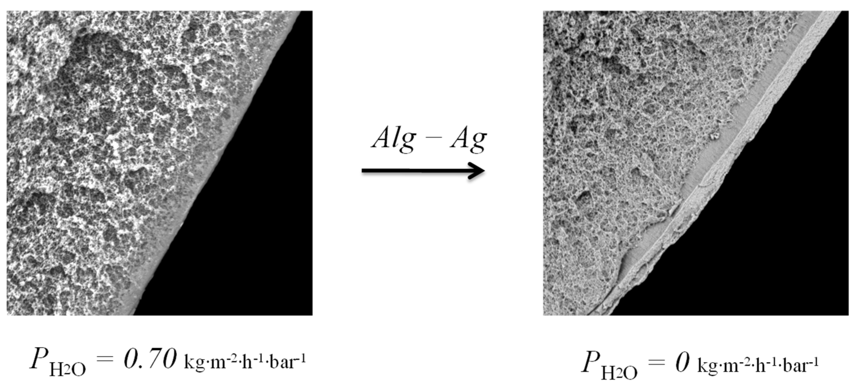 Membranes 12 01090 g011
