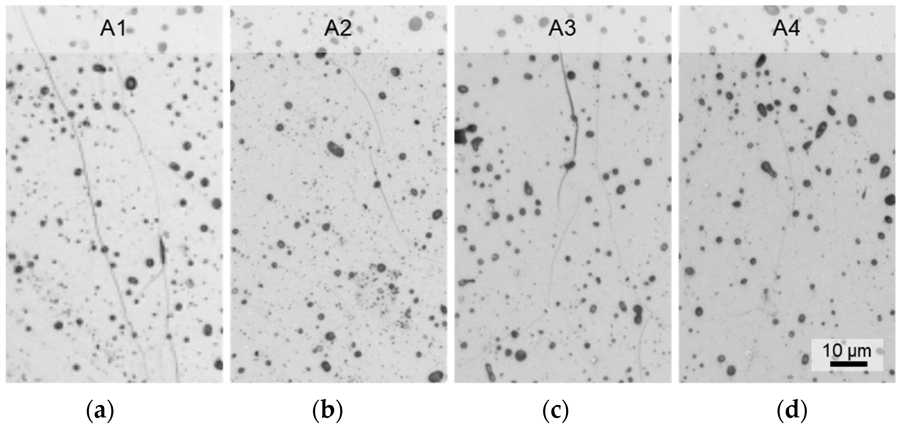 Membranes 12 01093 g0a3