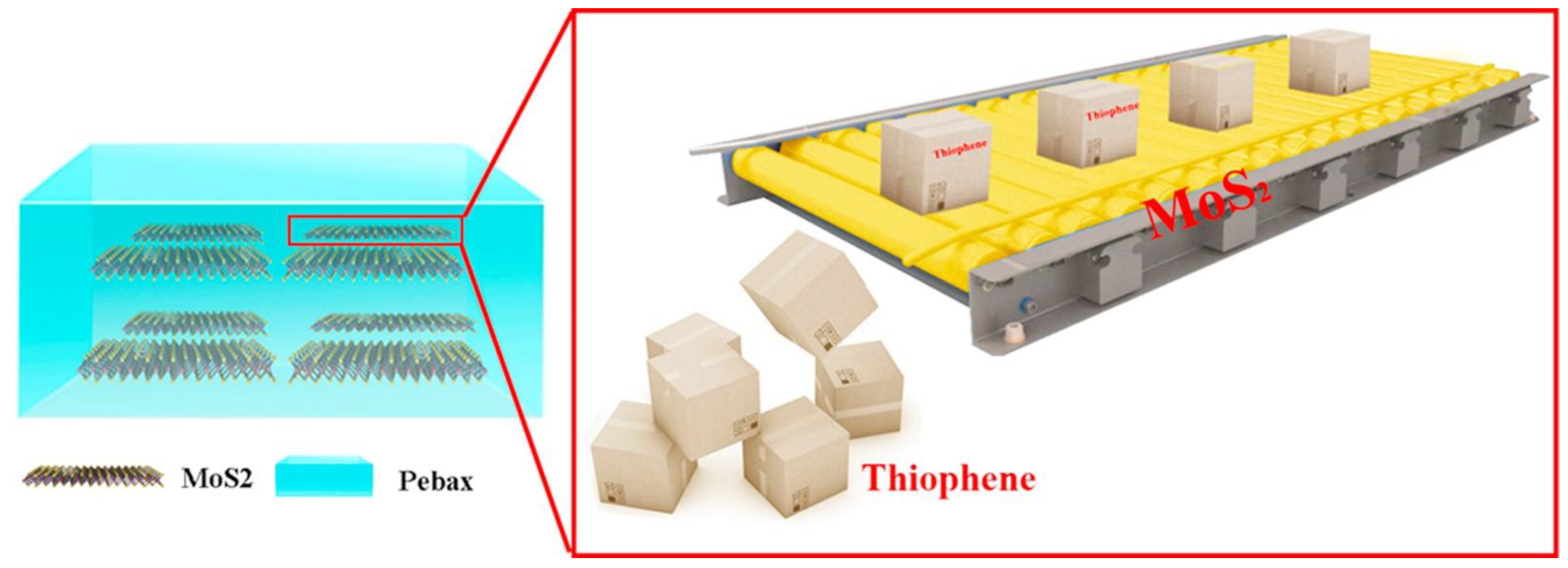 Membranes 12 01096 g003