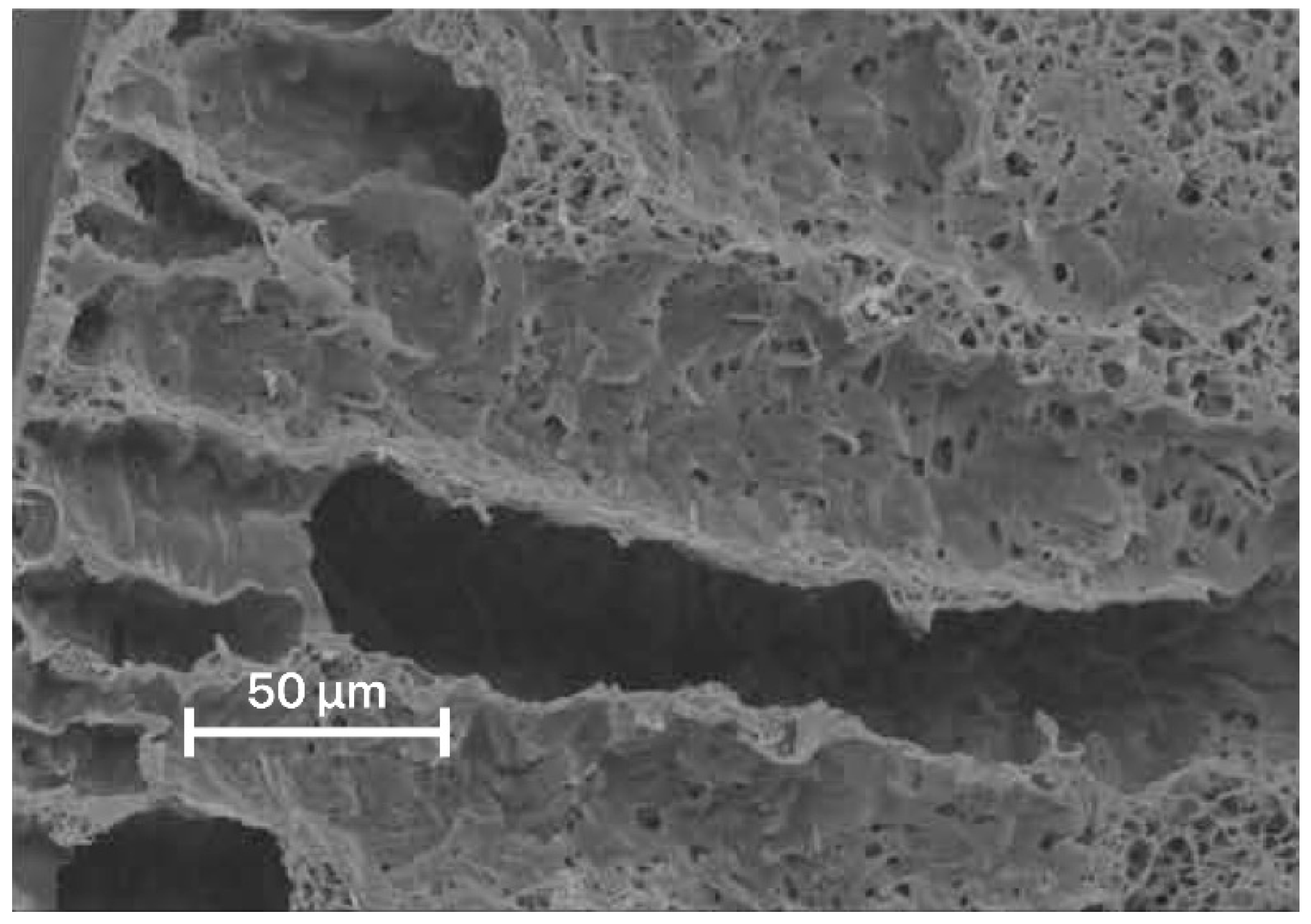 Membranes 12 01105 g009