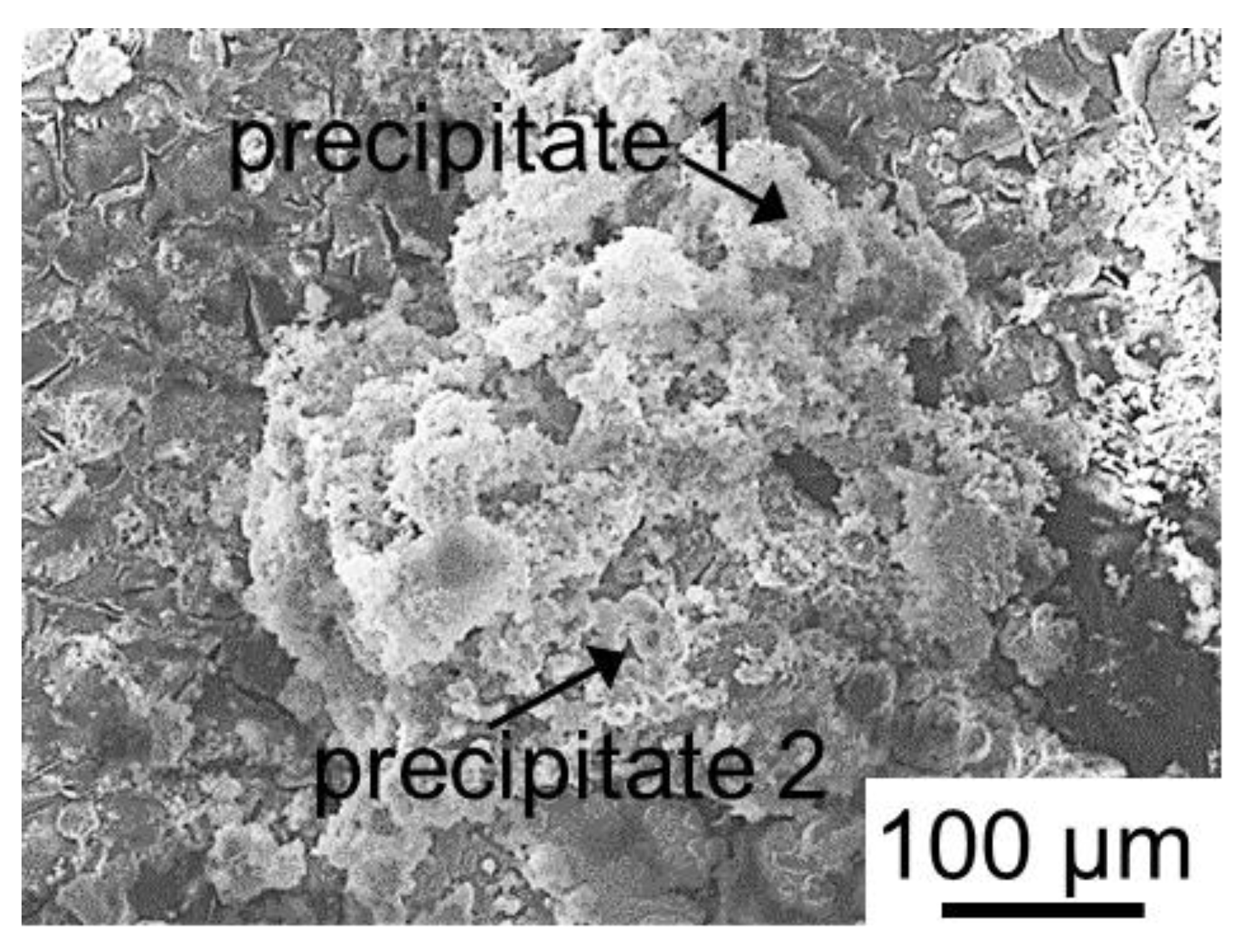Membranes 12 01107 g009 Membranes 12 01107 g009
