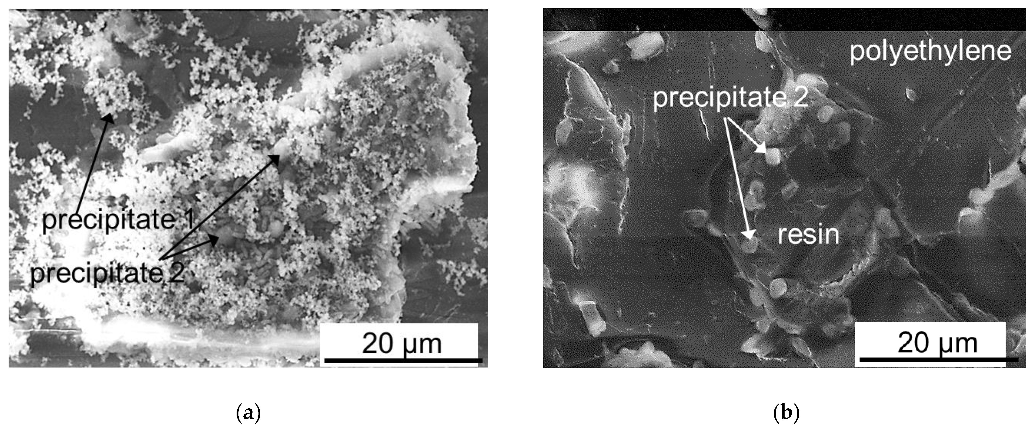 Membranes 12 01107 g011 Membranes 12 01107 g011