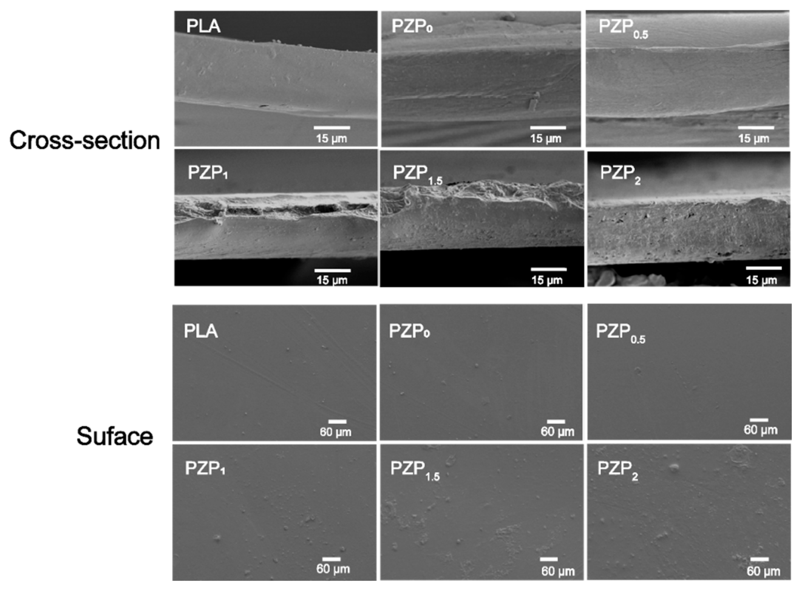 Membranes 12 01108 g001