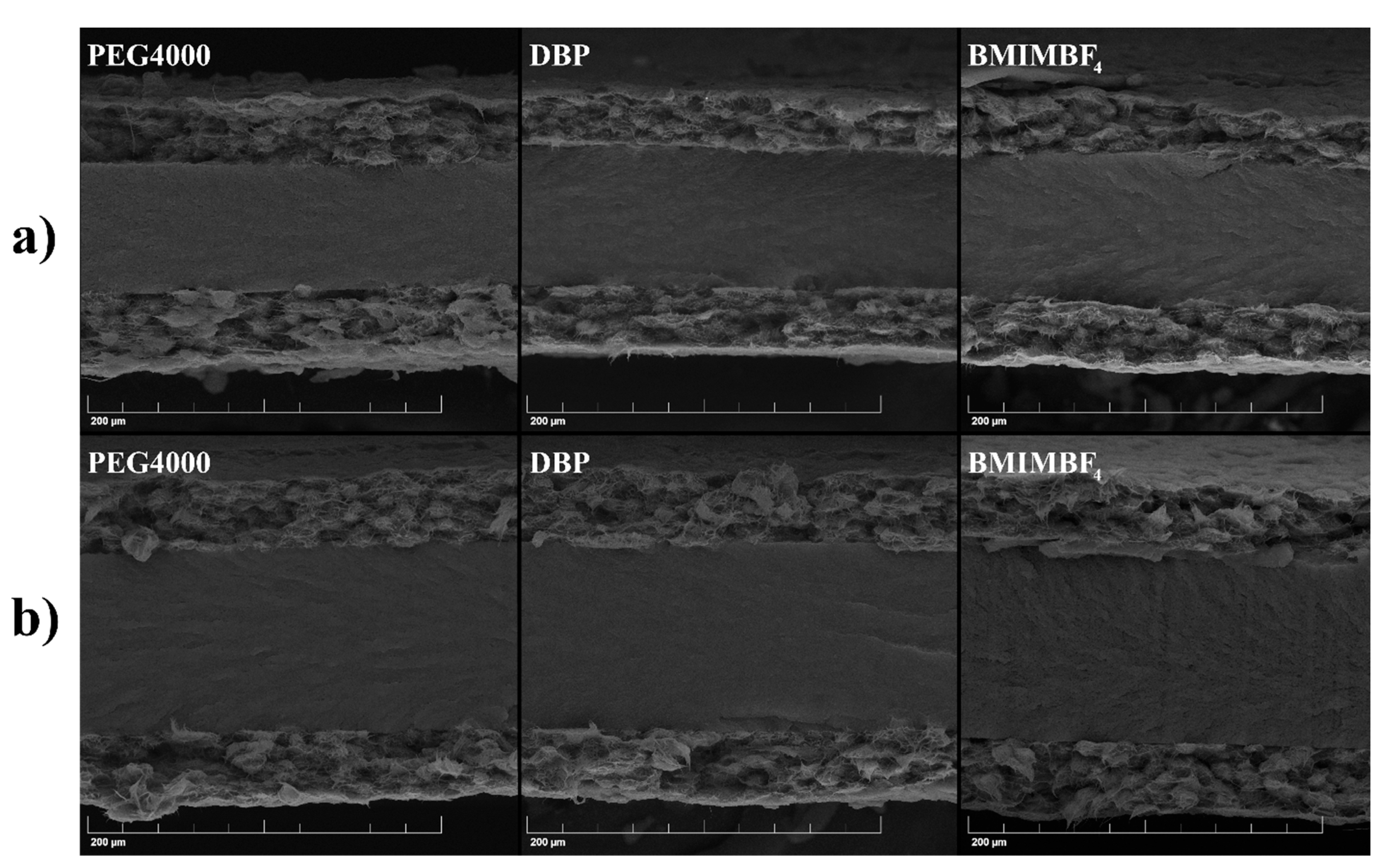 Membranes 12 01110 g005 Membranes 12 01110 g005