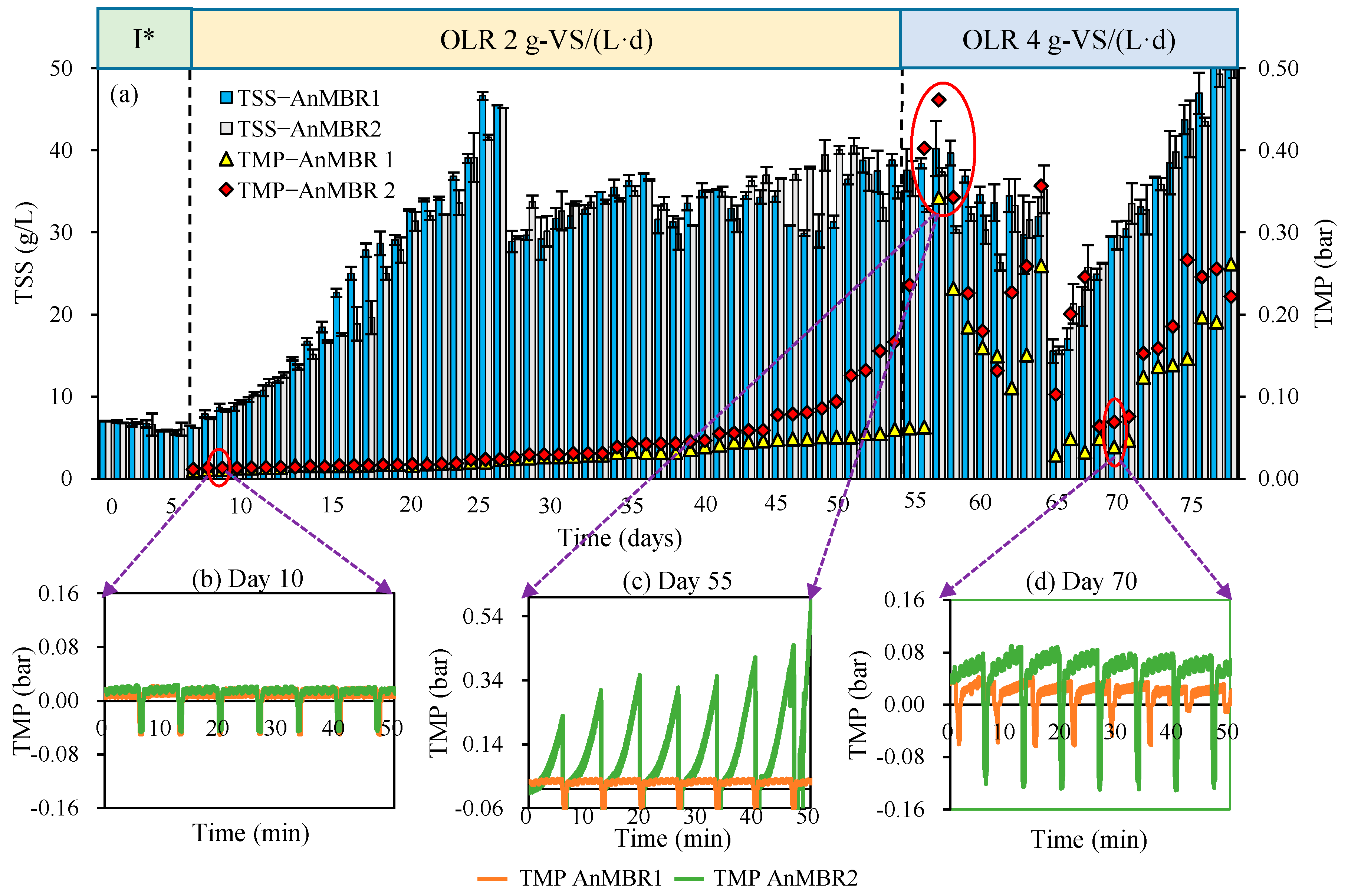 Membranes 12 01133 g005