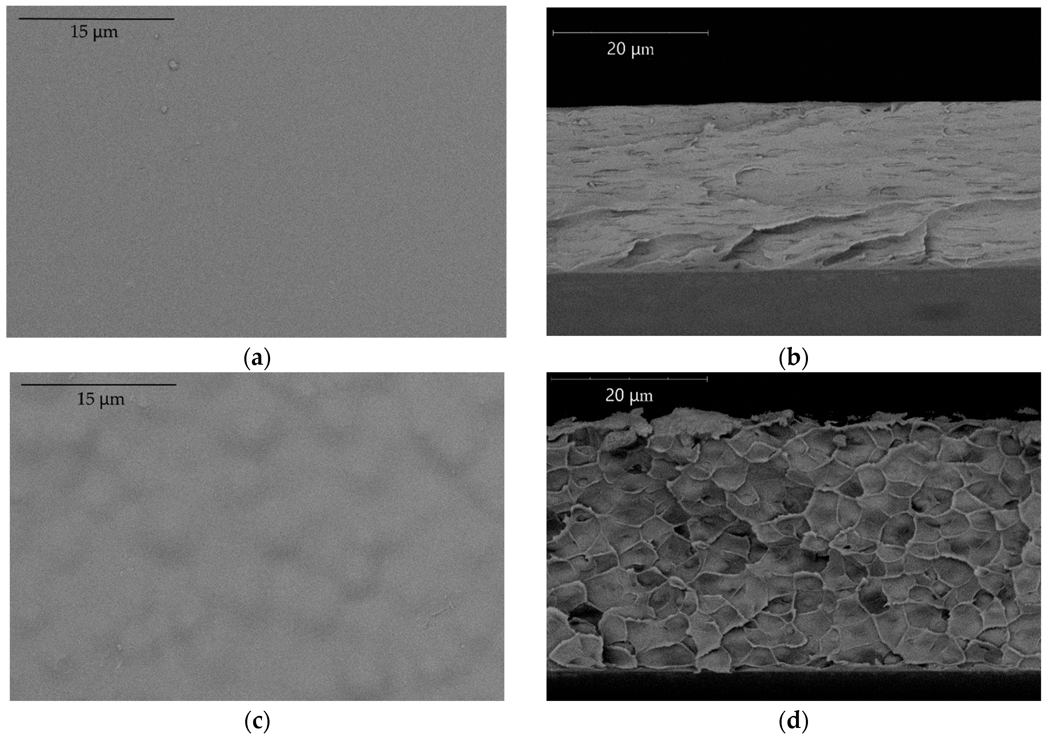 Membranes 12 01160 g003 Membranes 12 01160 g003