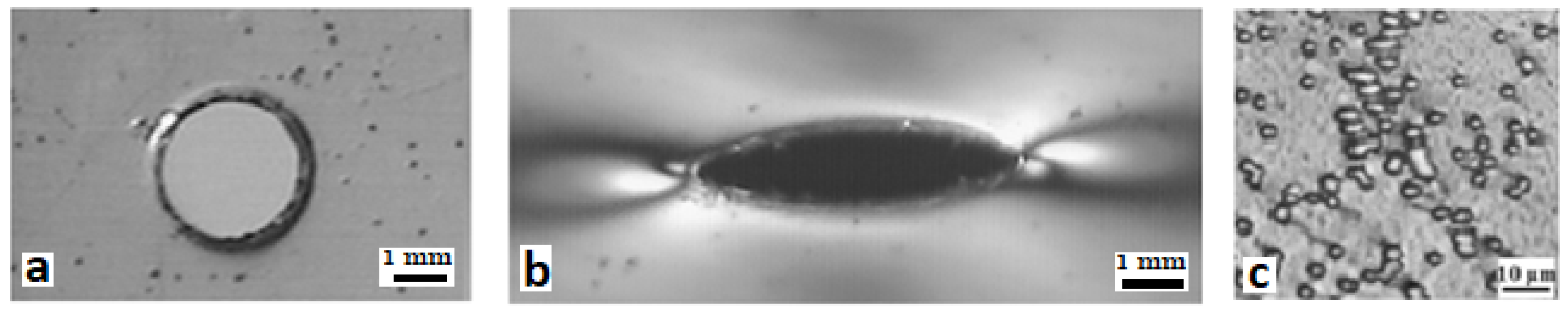 Membranes 12 01168 g001 Membranes 12 01168 g001