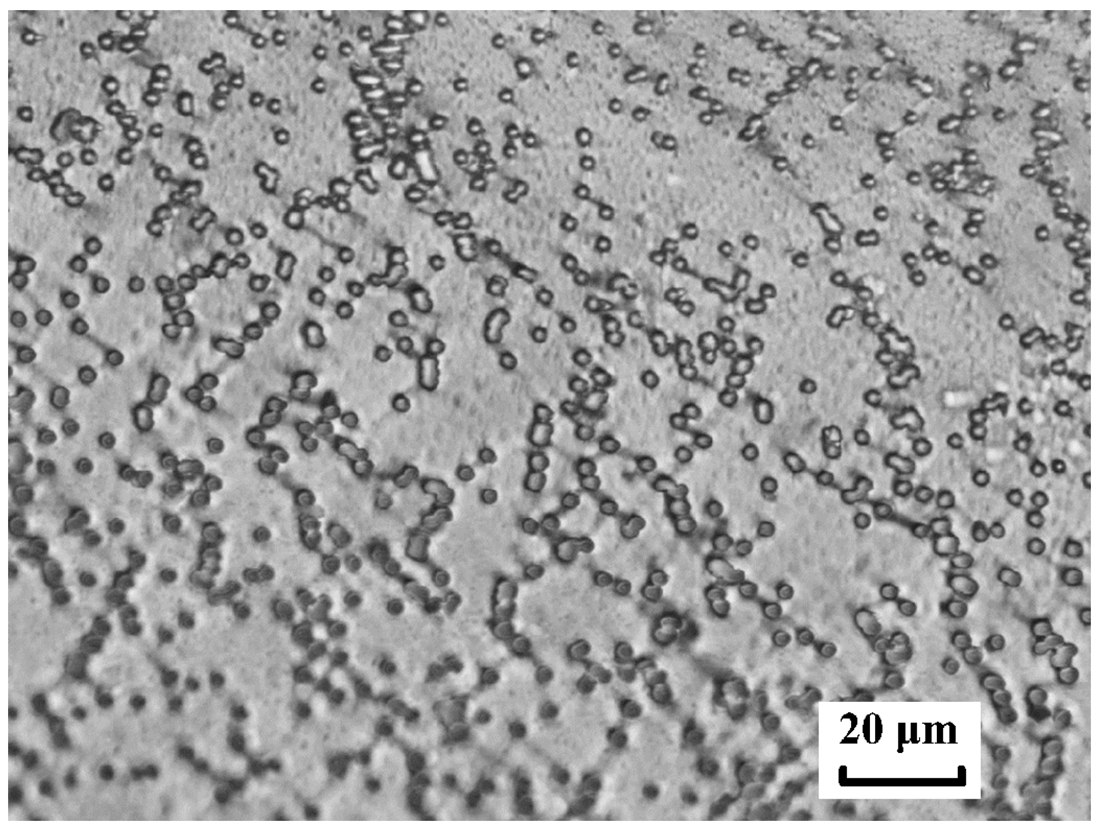 Membranes 12 01168 g011 Membranes 12 01168 g011