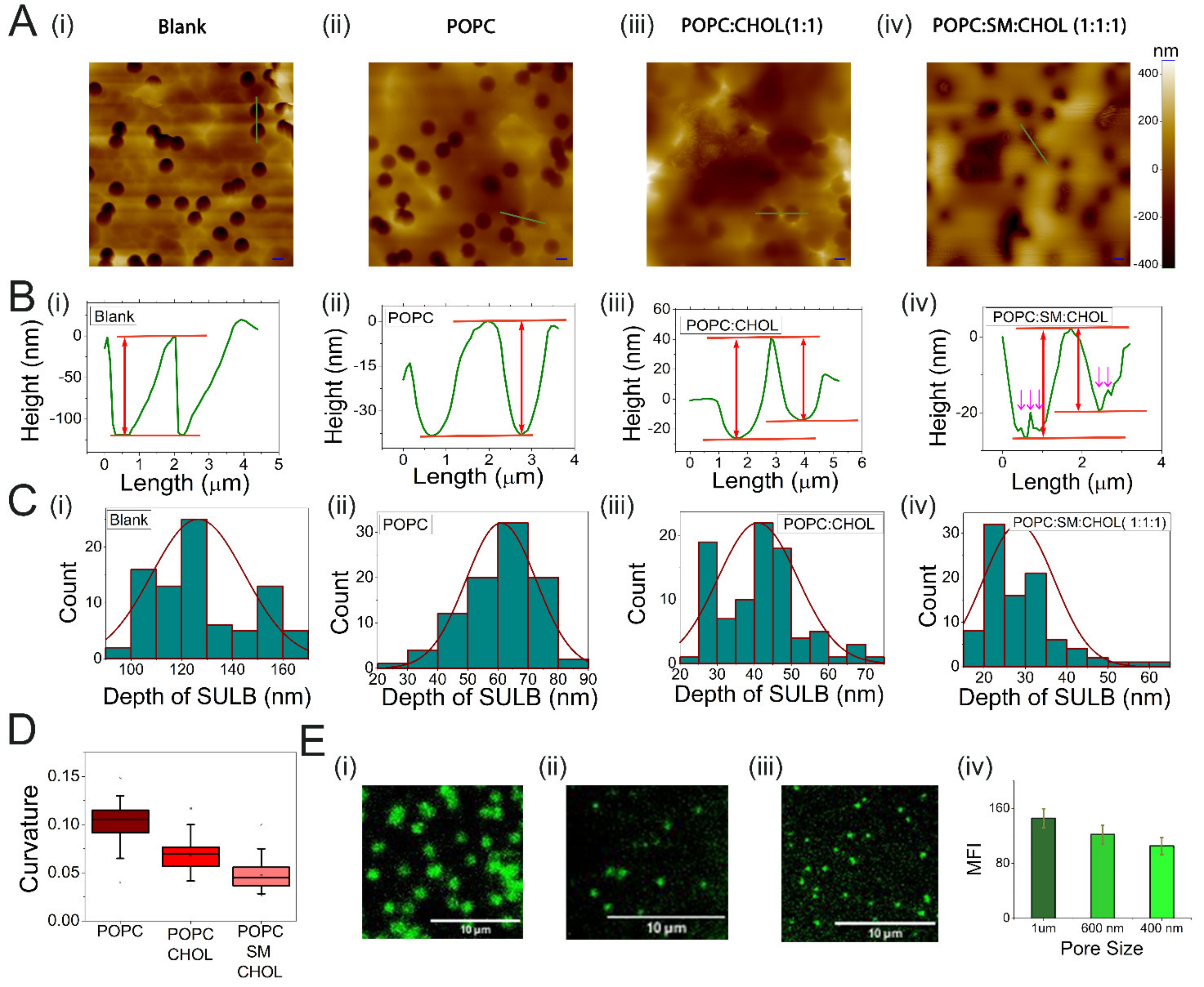 Membranes 12 01190 g002