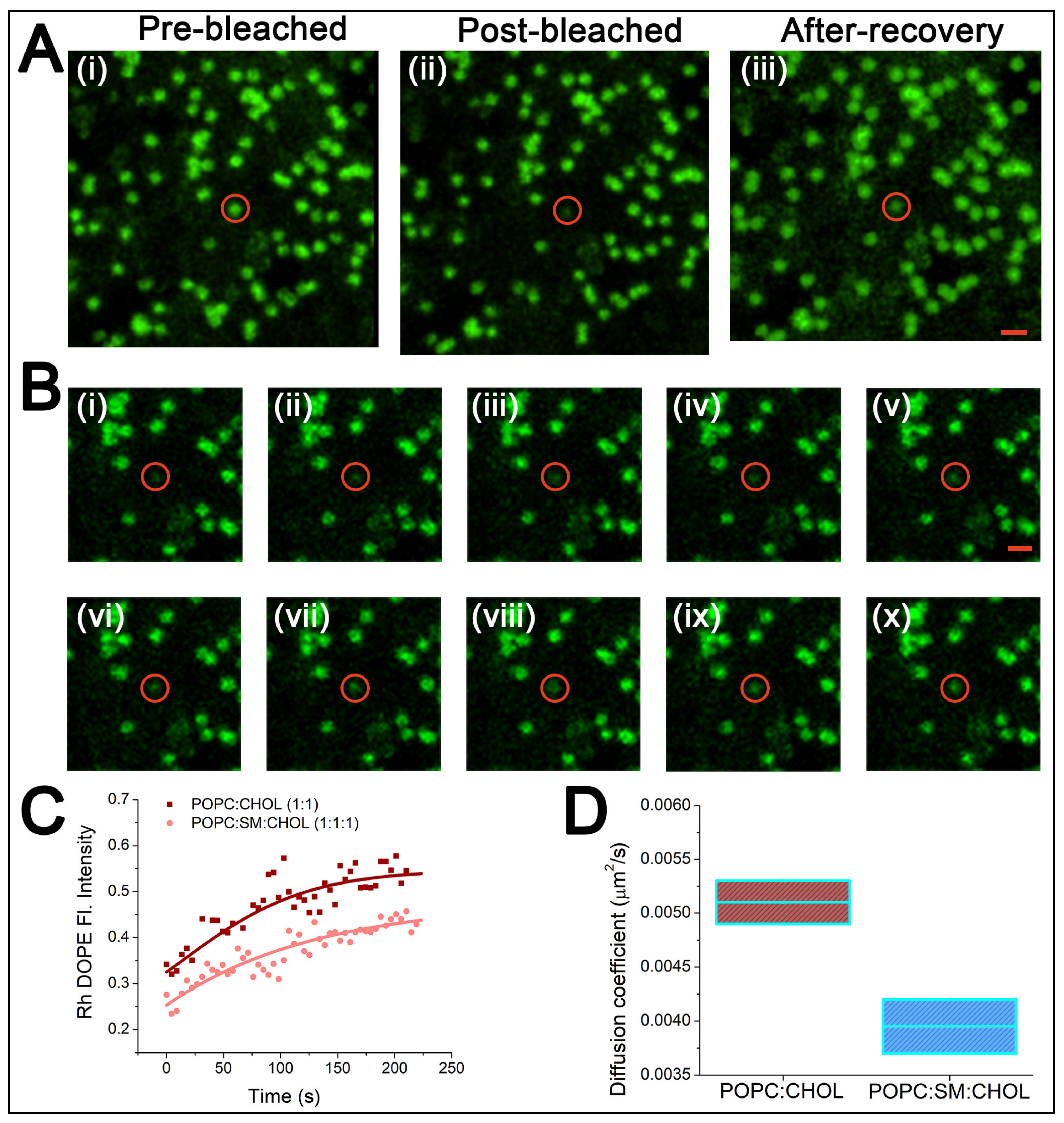 Membranes 12 01190 g003