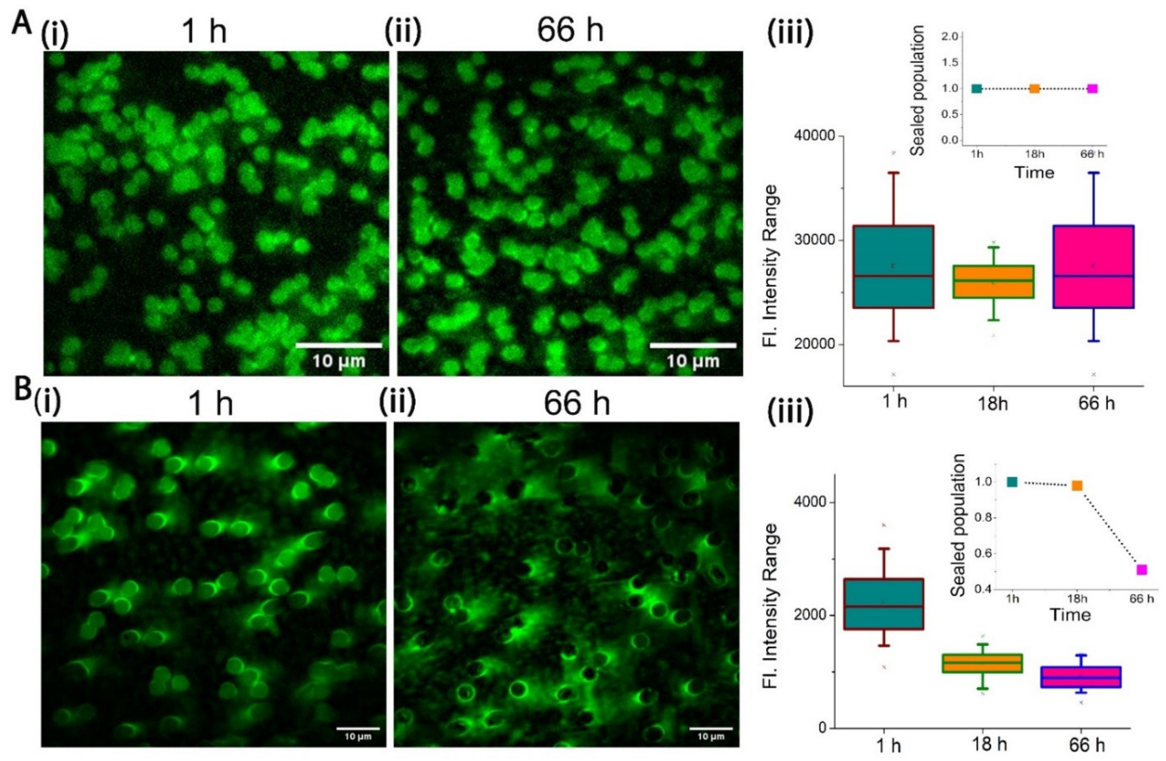 Membranes 12 01190 g004