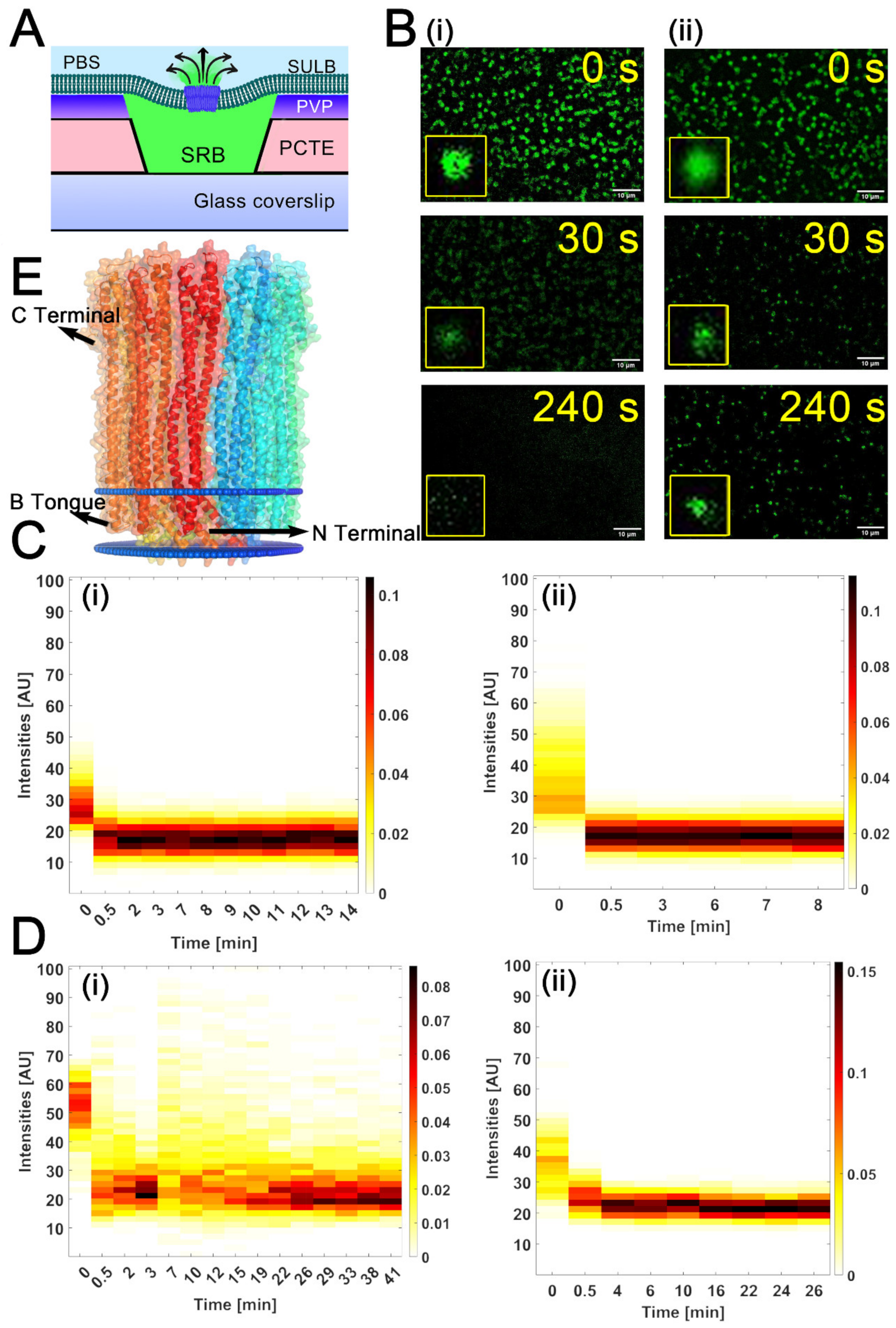 Membranes 12 01190 g005