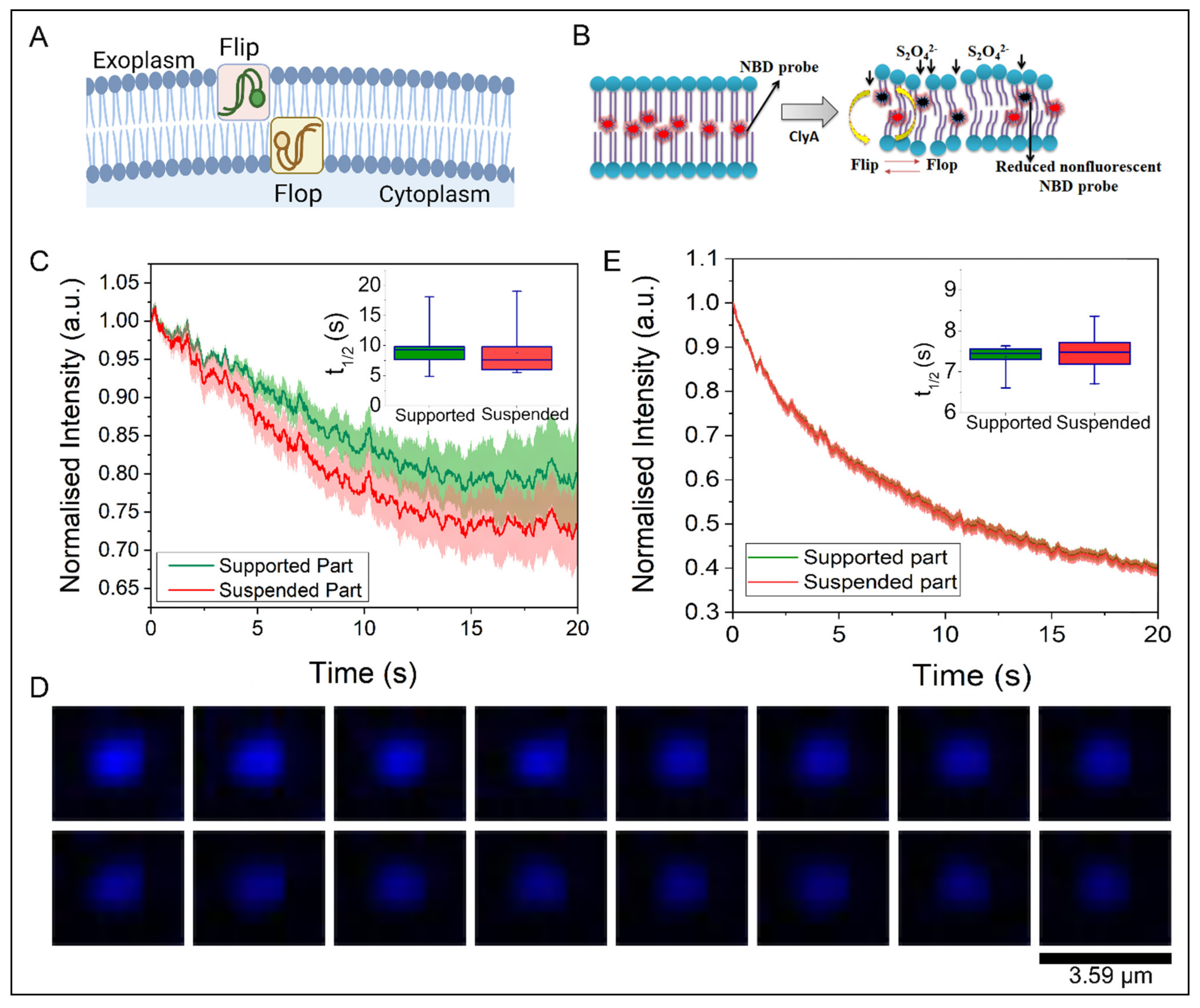Membranes 12 01190 g006