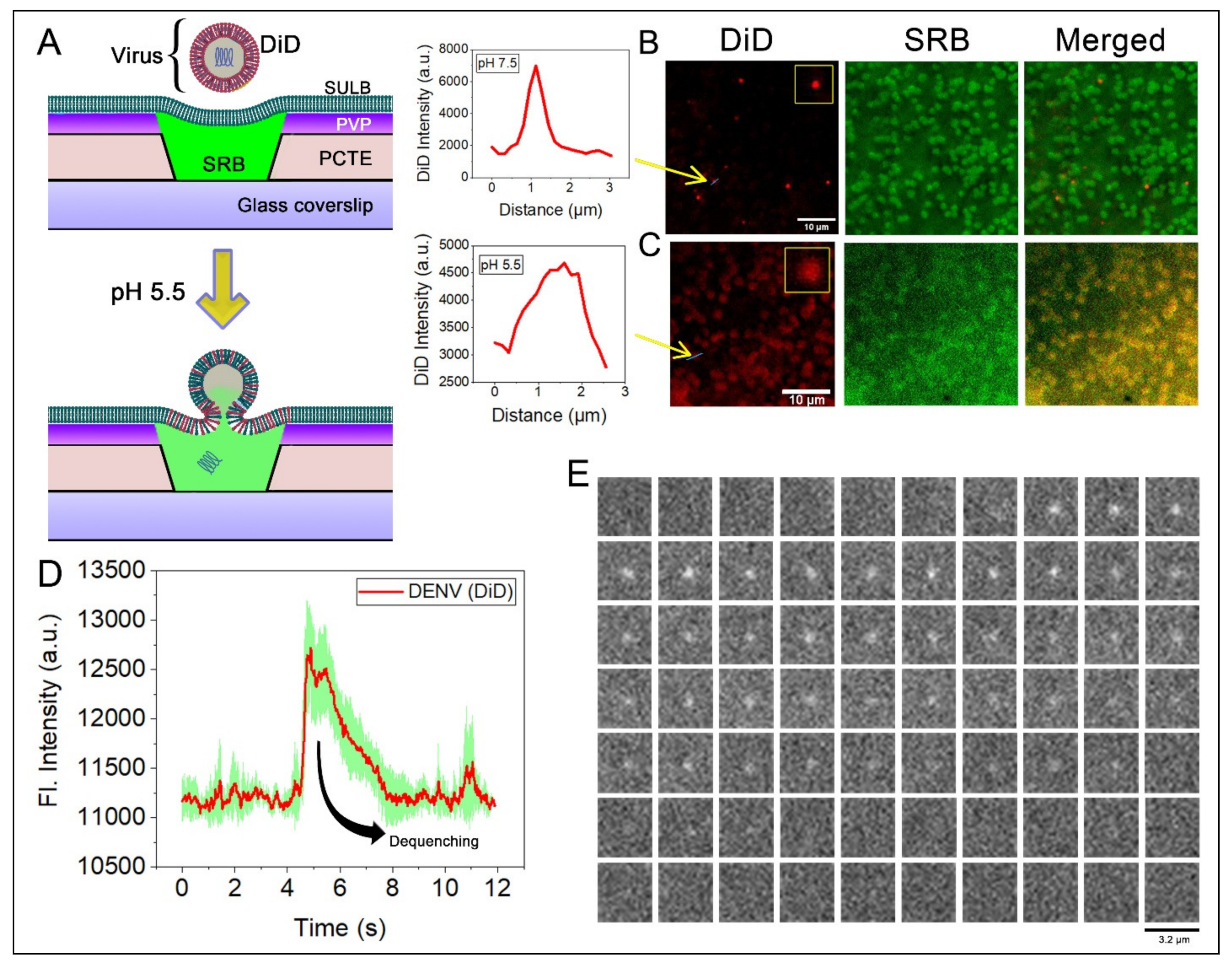 Membranes 12 01190 g007