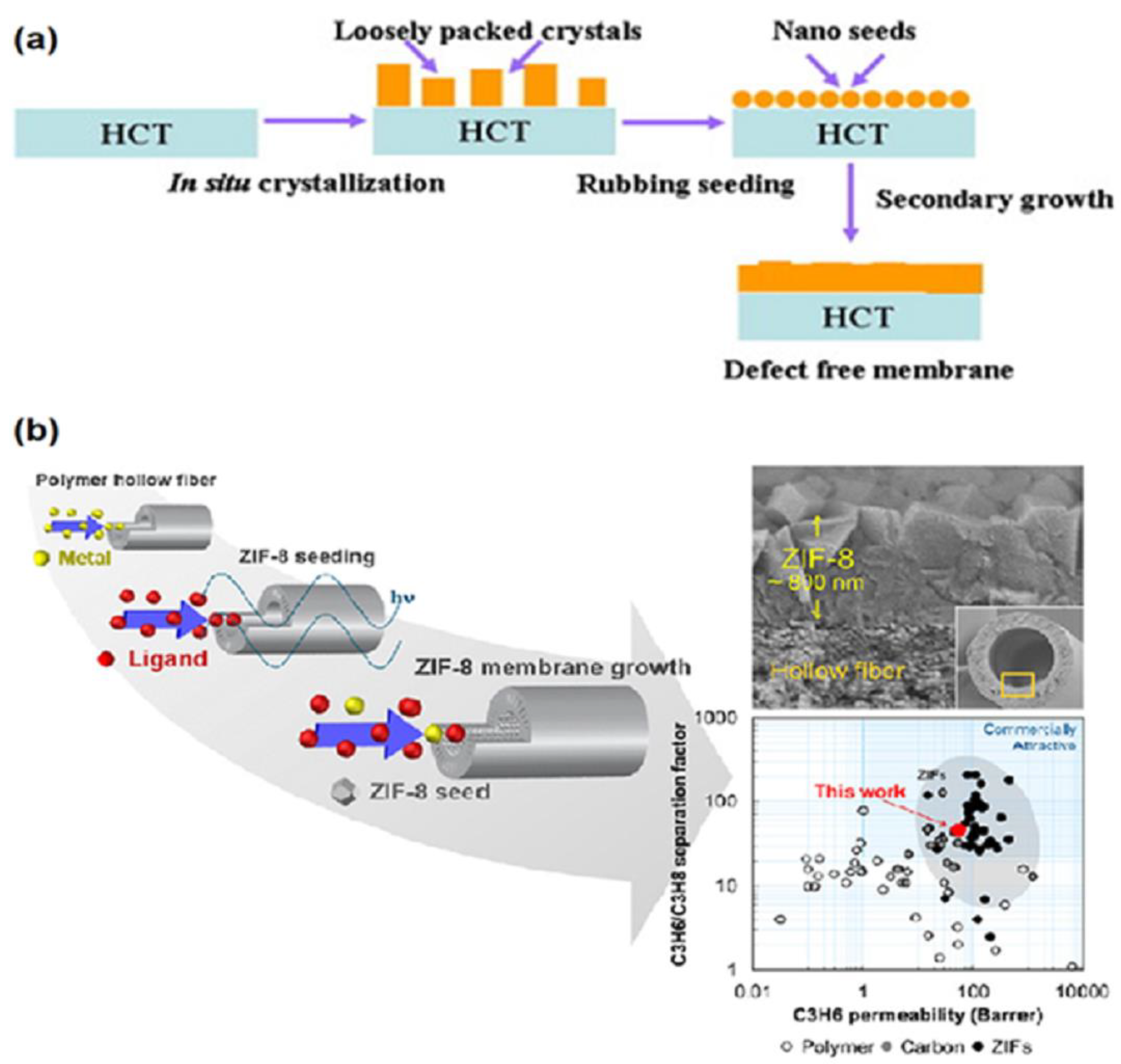 Membranes 12 01205 g002