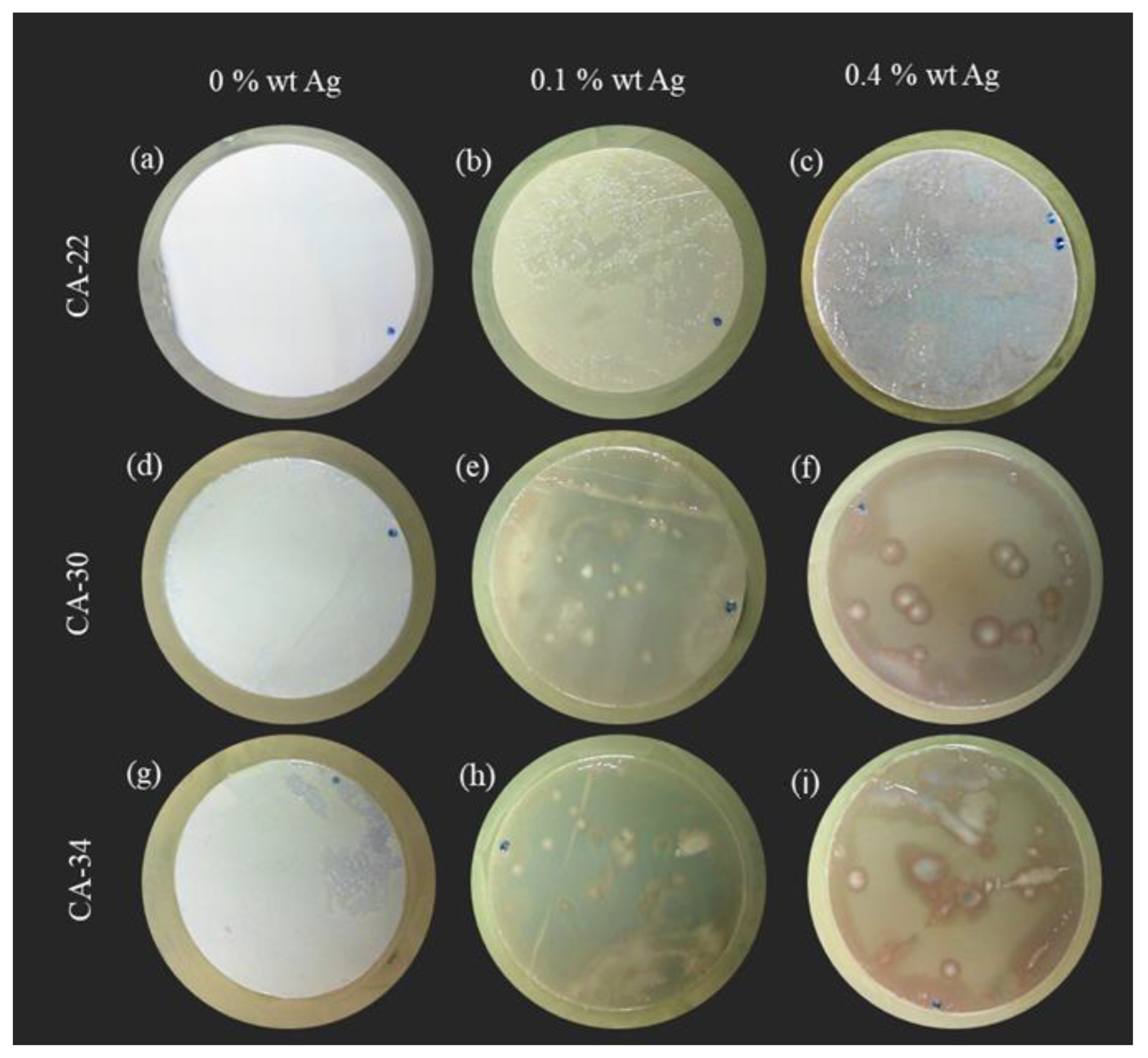 Membranes 13 00004 g010