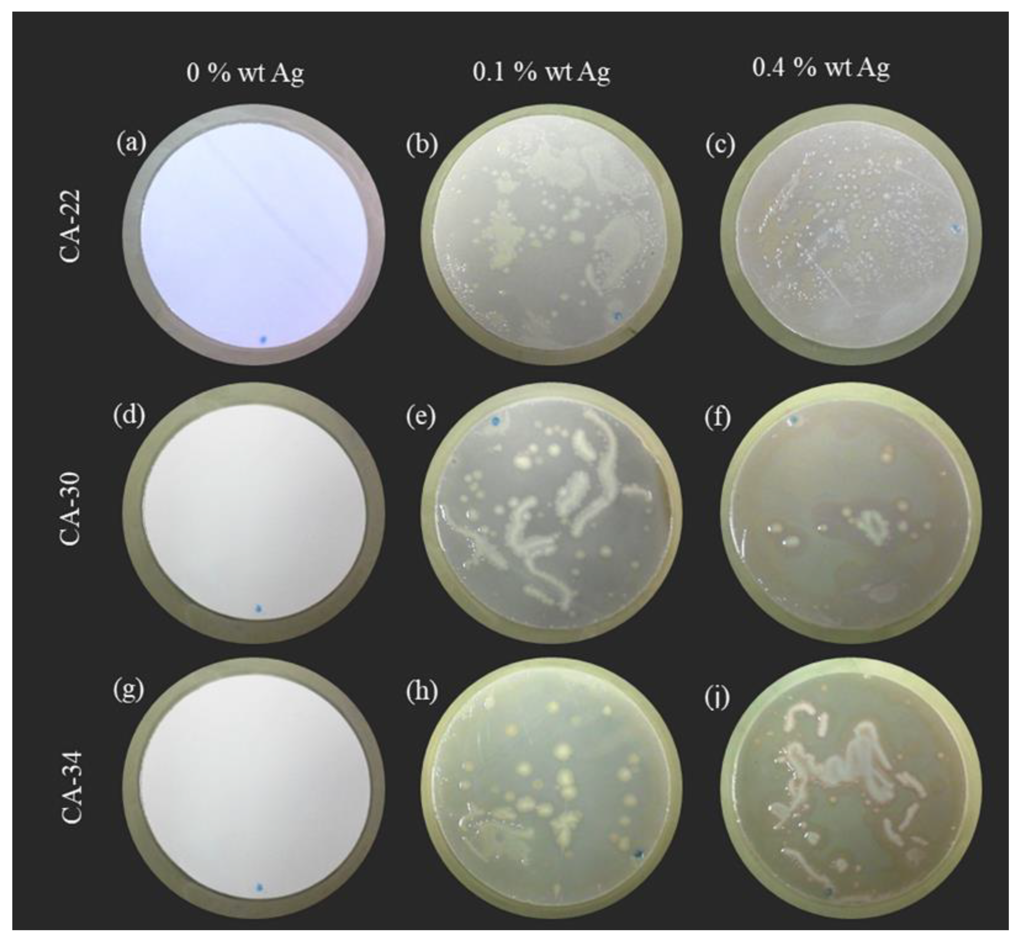 Membranes 13 00004 g011