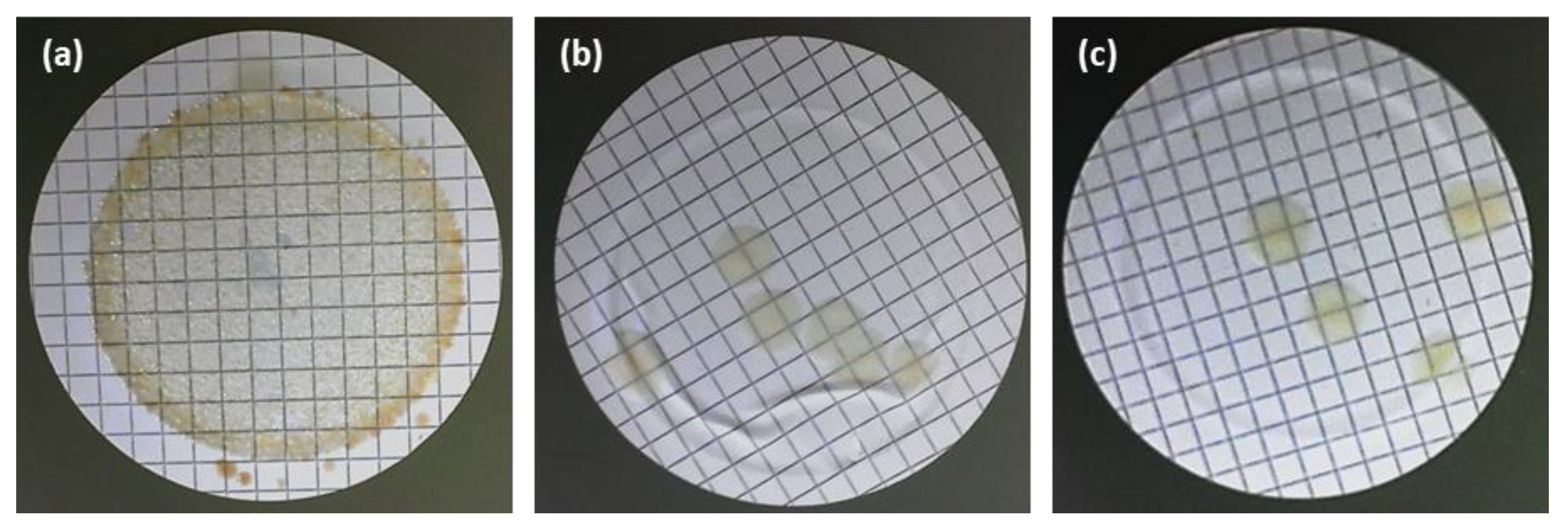 Membranes 13 00004 g016