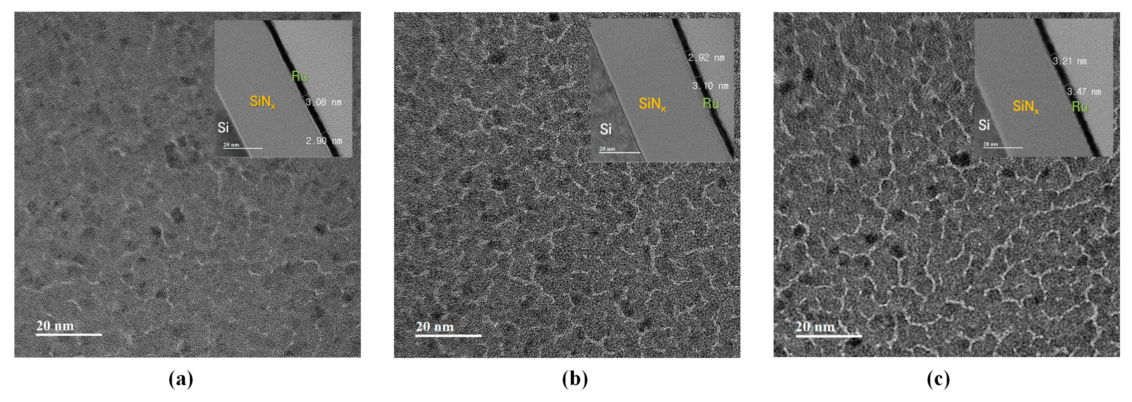 Membranes 13 00005 g002