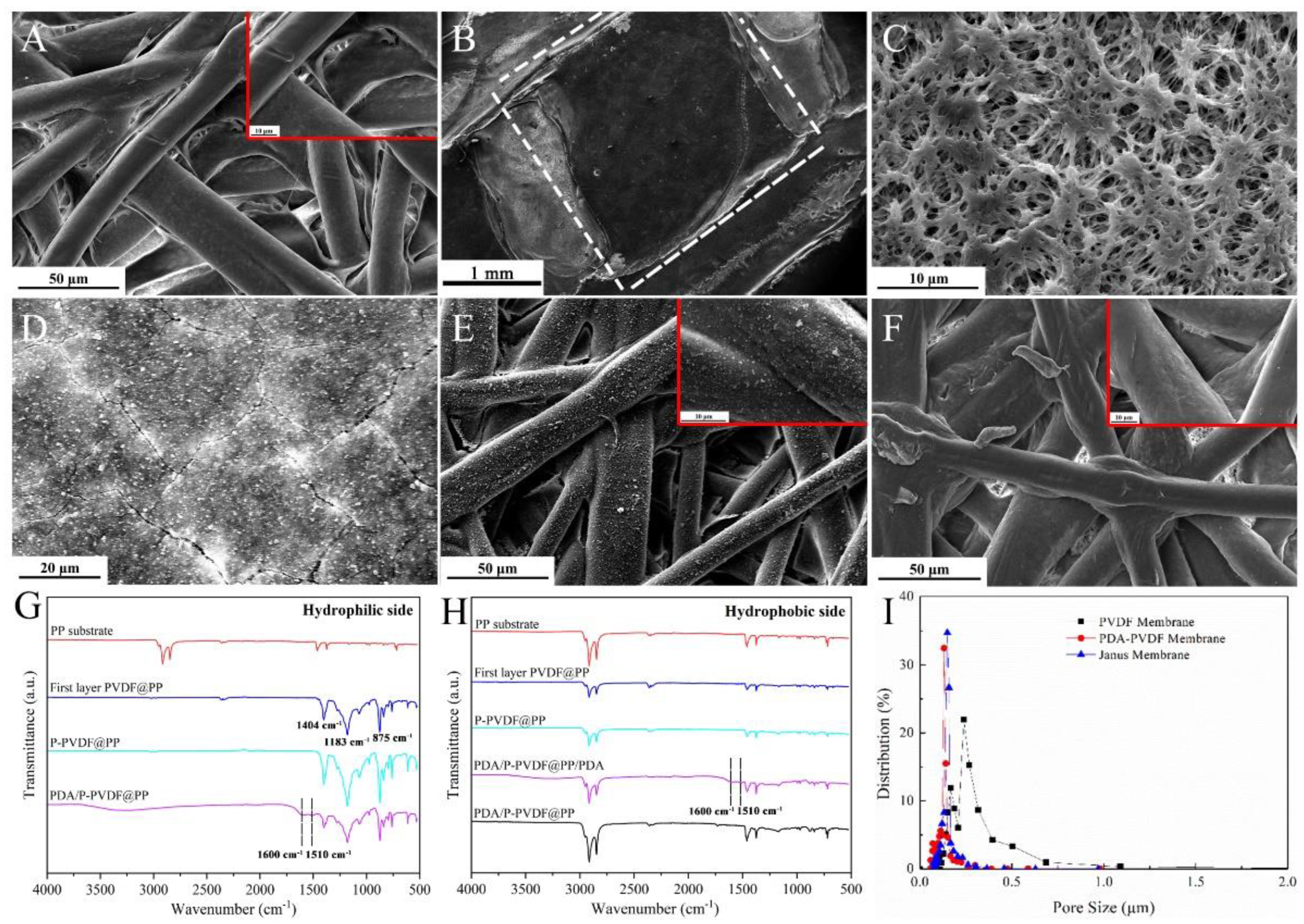 Membranes 13 00014 g002