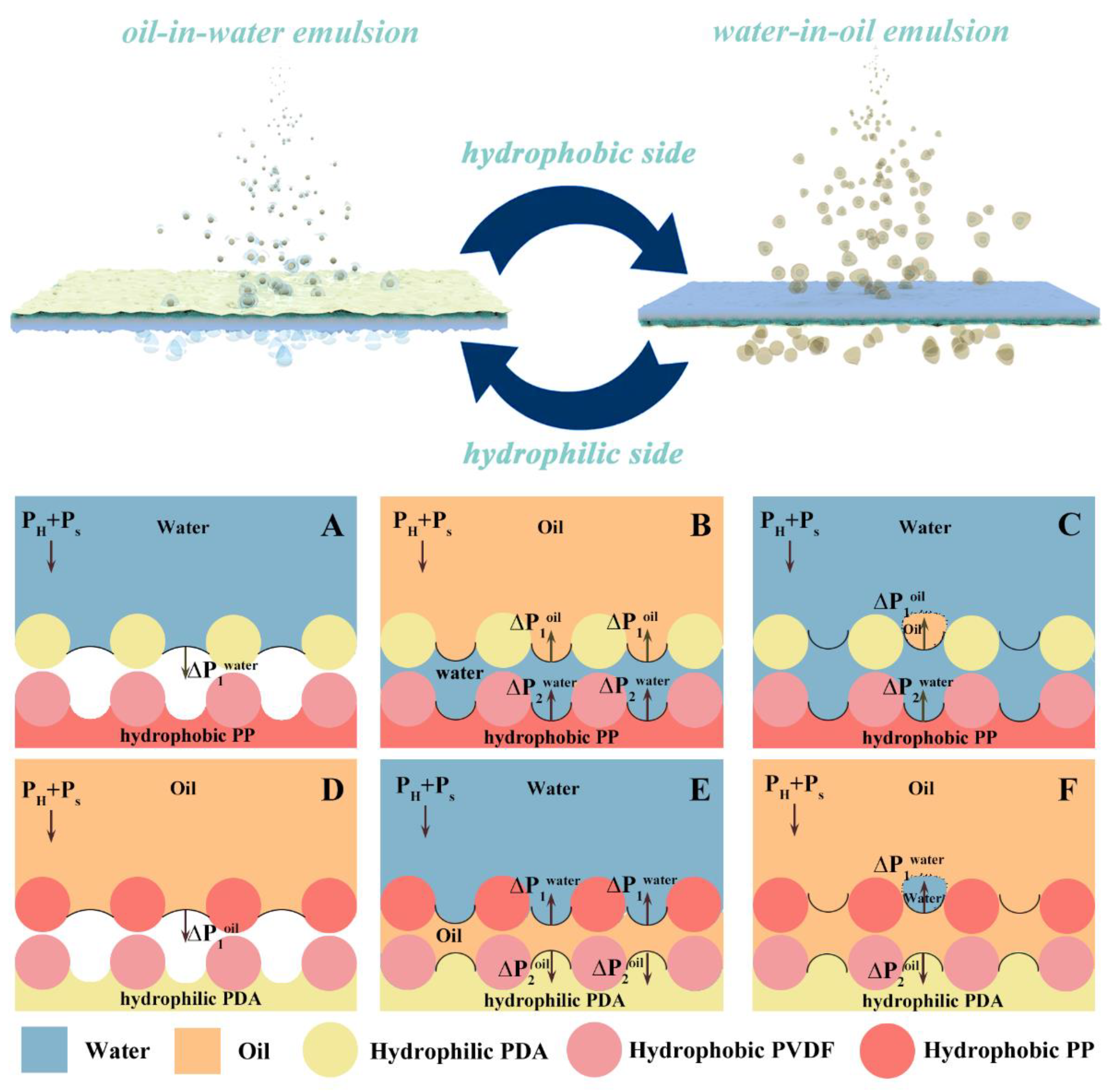 Membranes 13 00014 g006