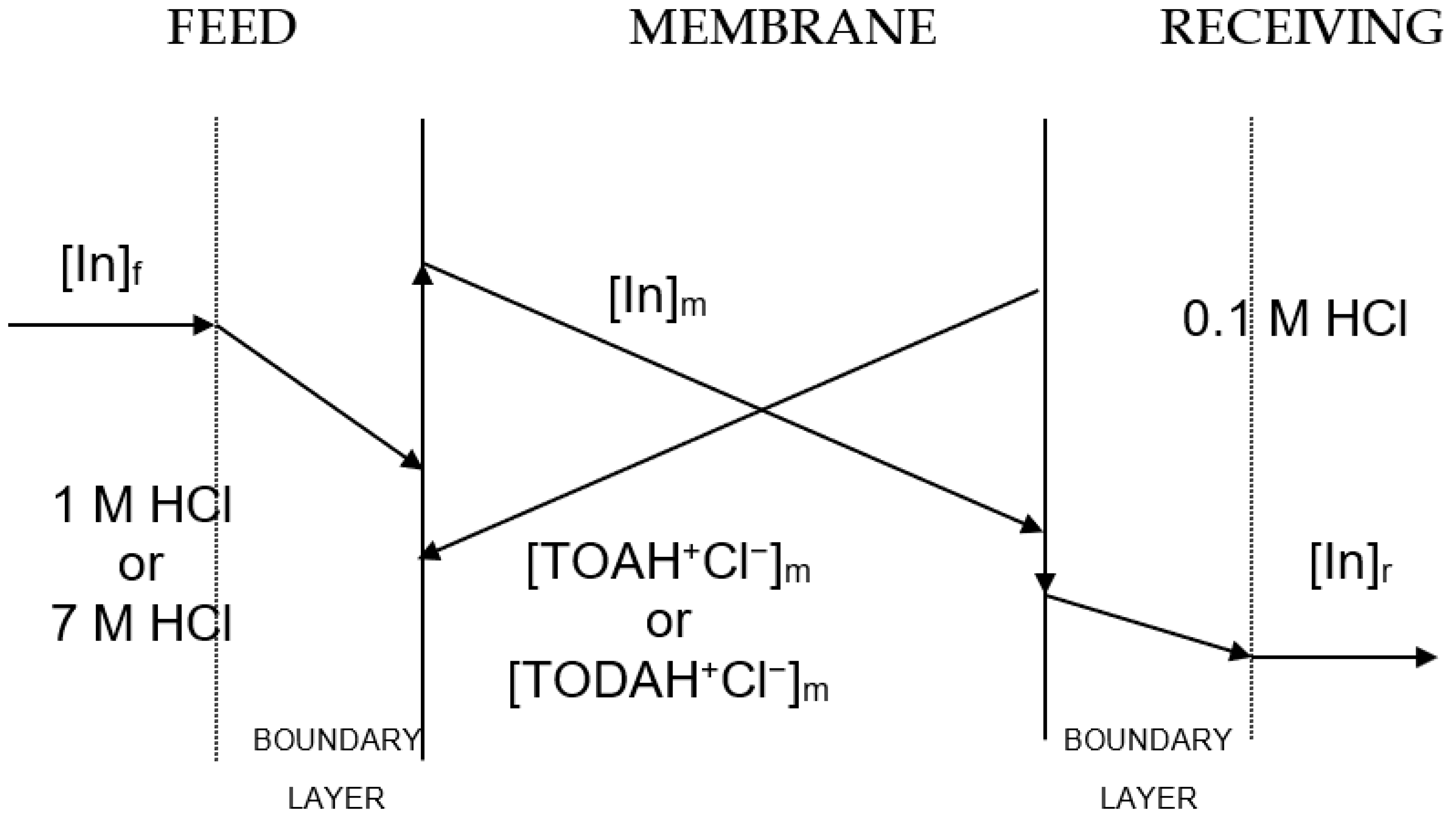 Membranes 13 00019 g001