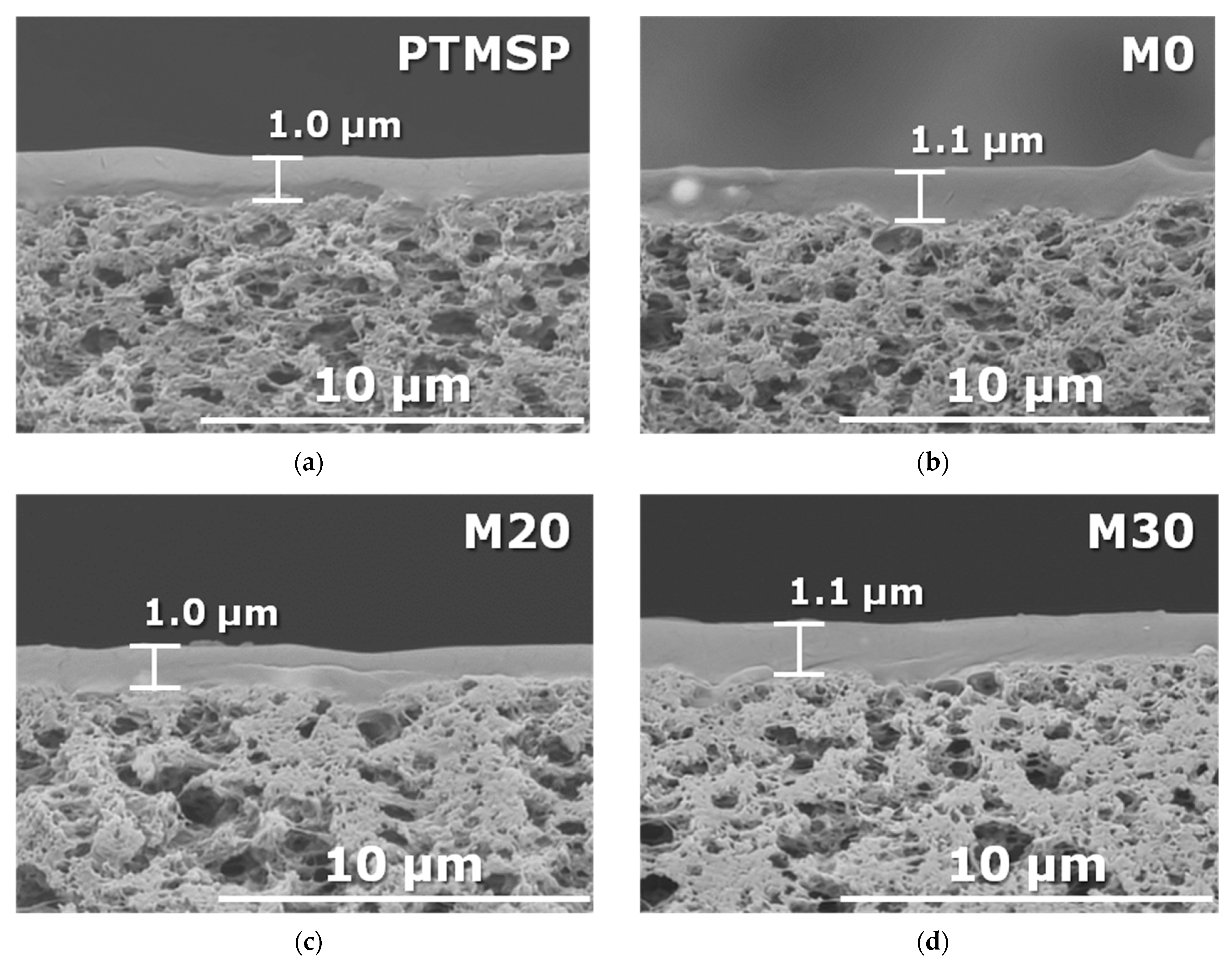 Membranes 13 00021 g002a