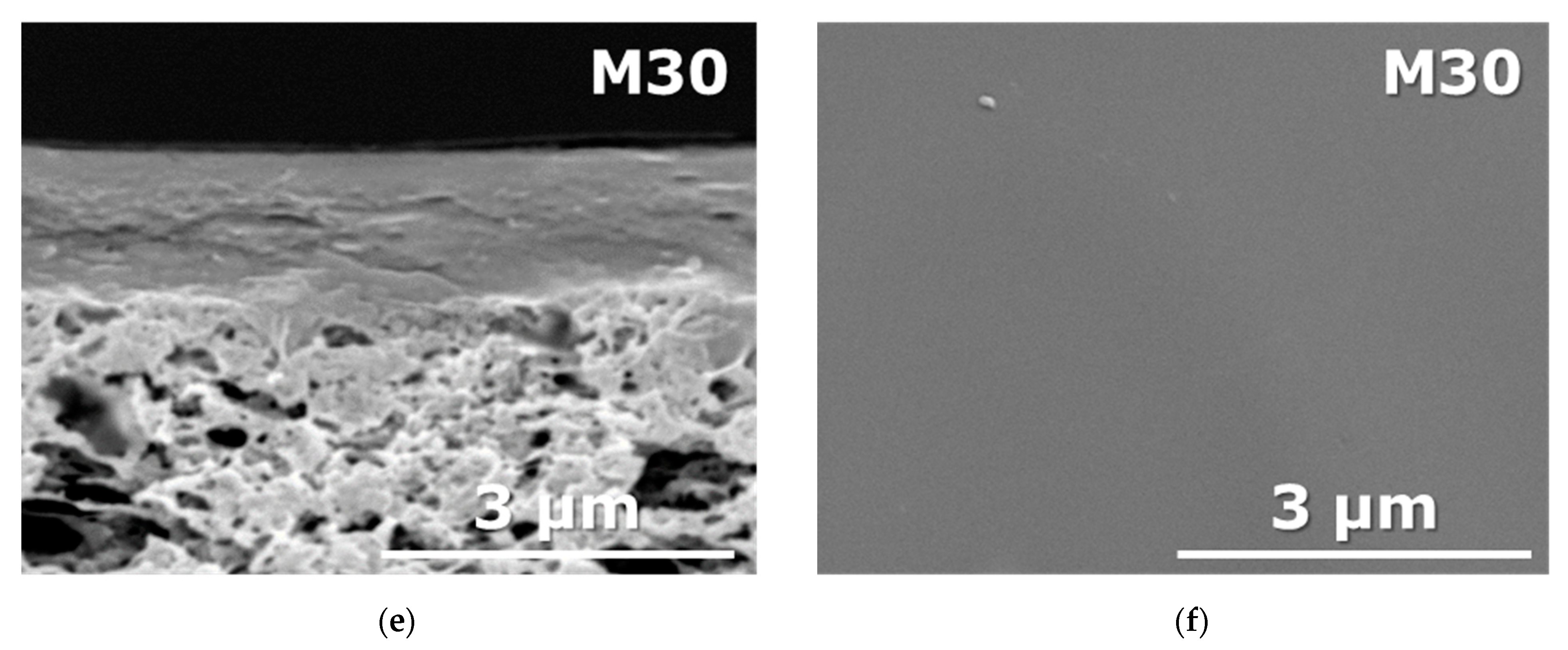 Membranes 13 00021 g002b