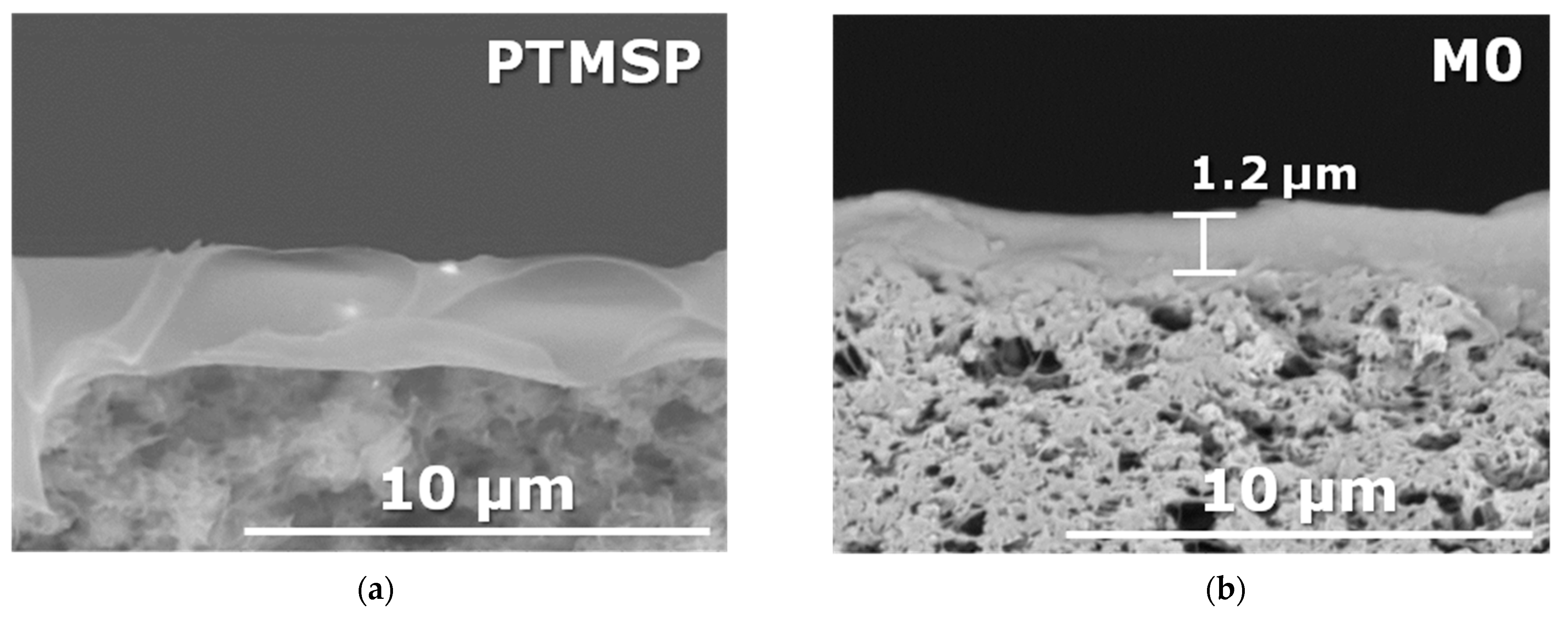 Membranes 13 00021 g003a