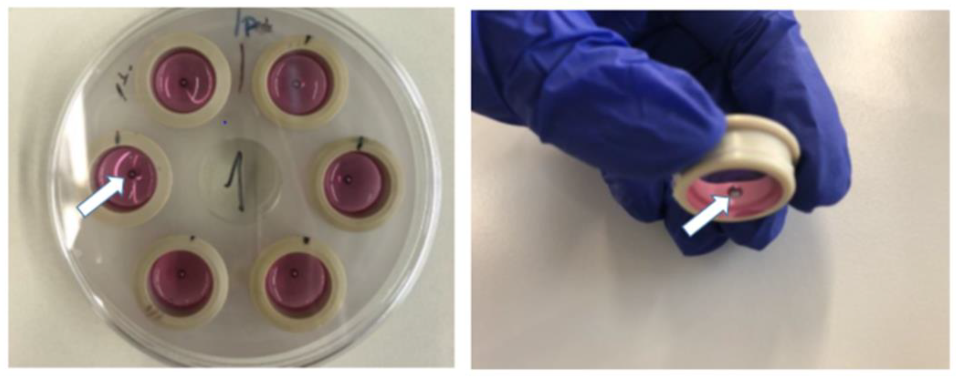Membranes 13 00022 g001