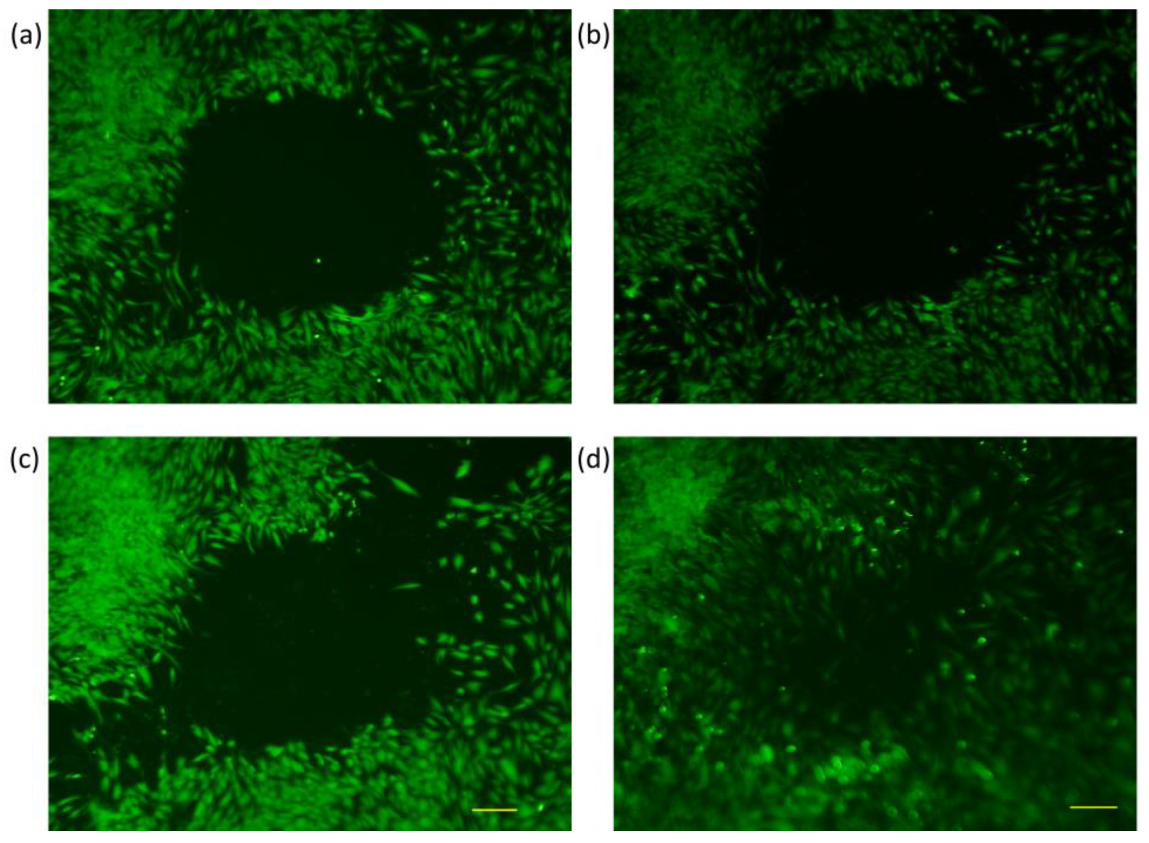 Membranes 13 00022 g005