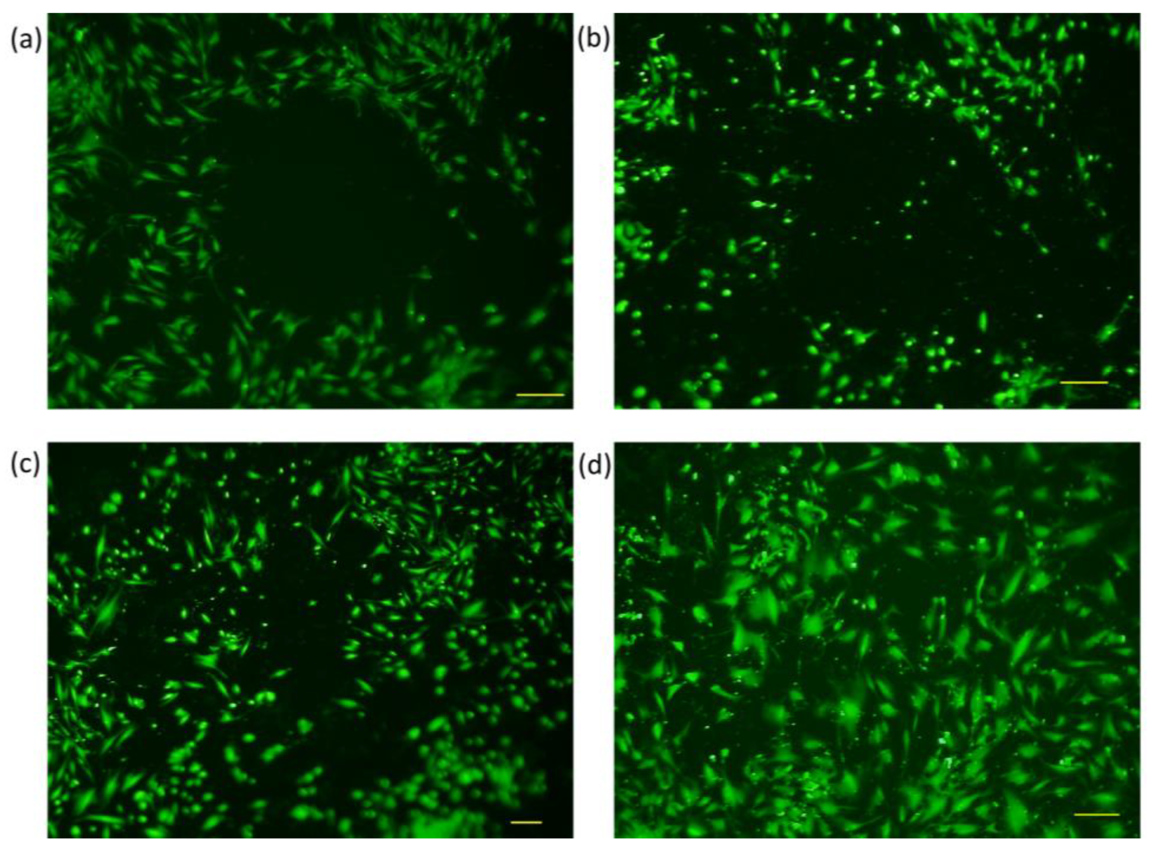 Membranes 13 00022 g006