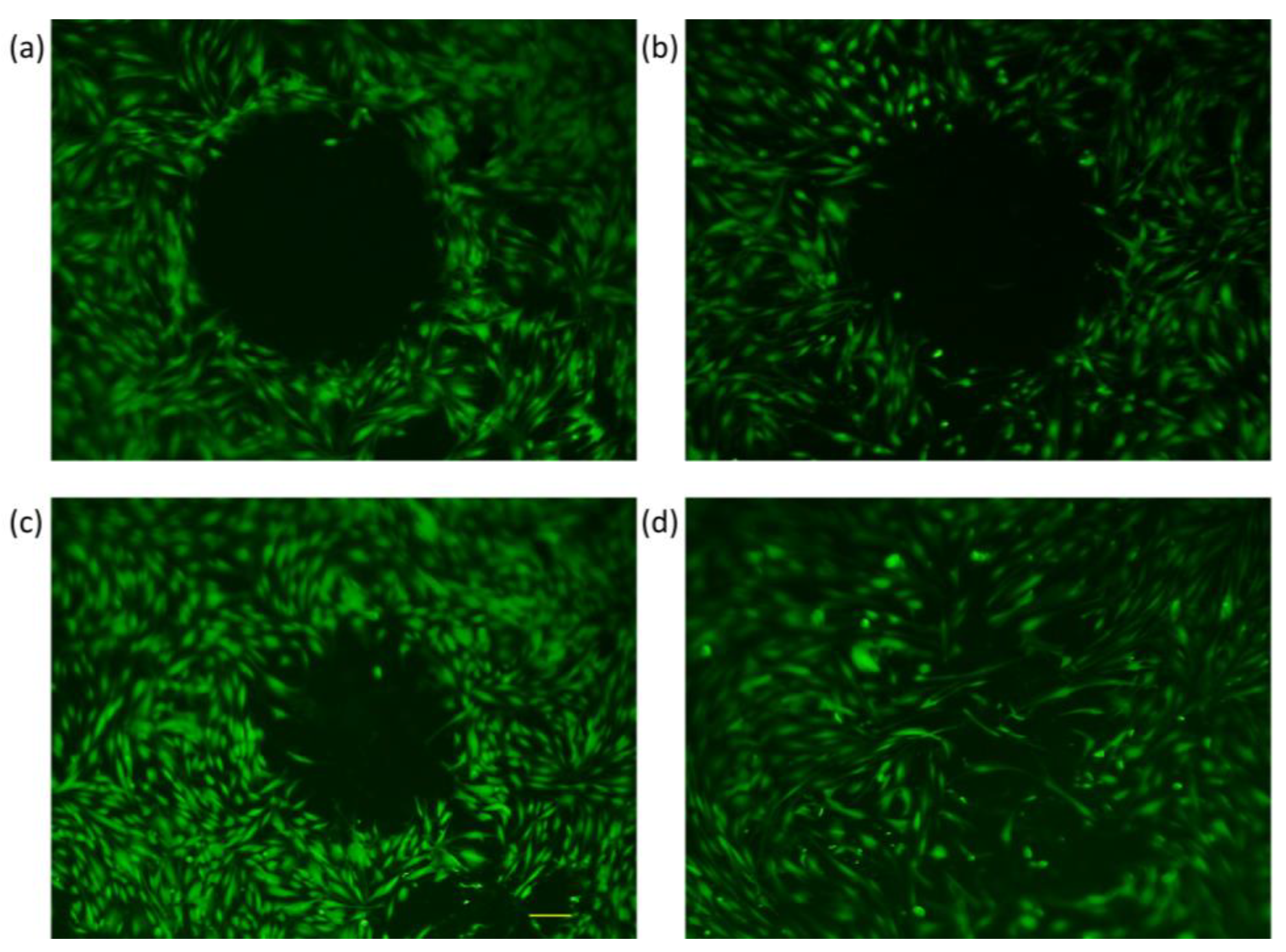 Membranes 13 00022 g007