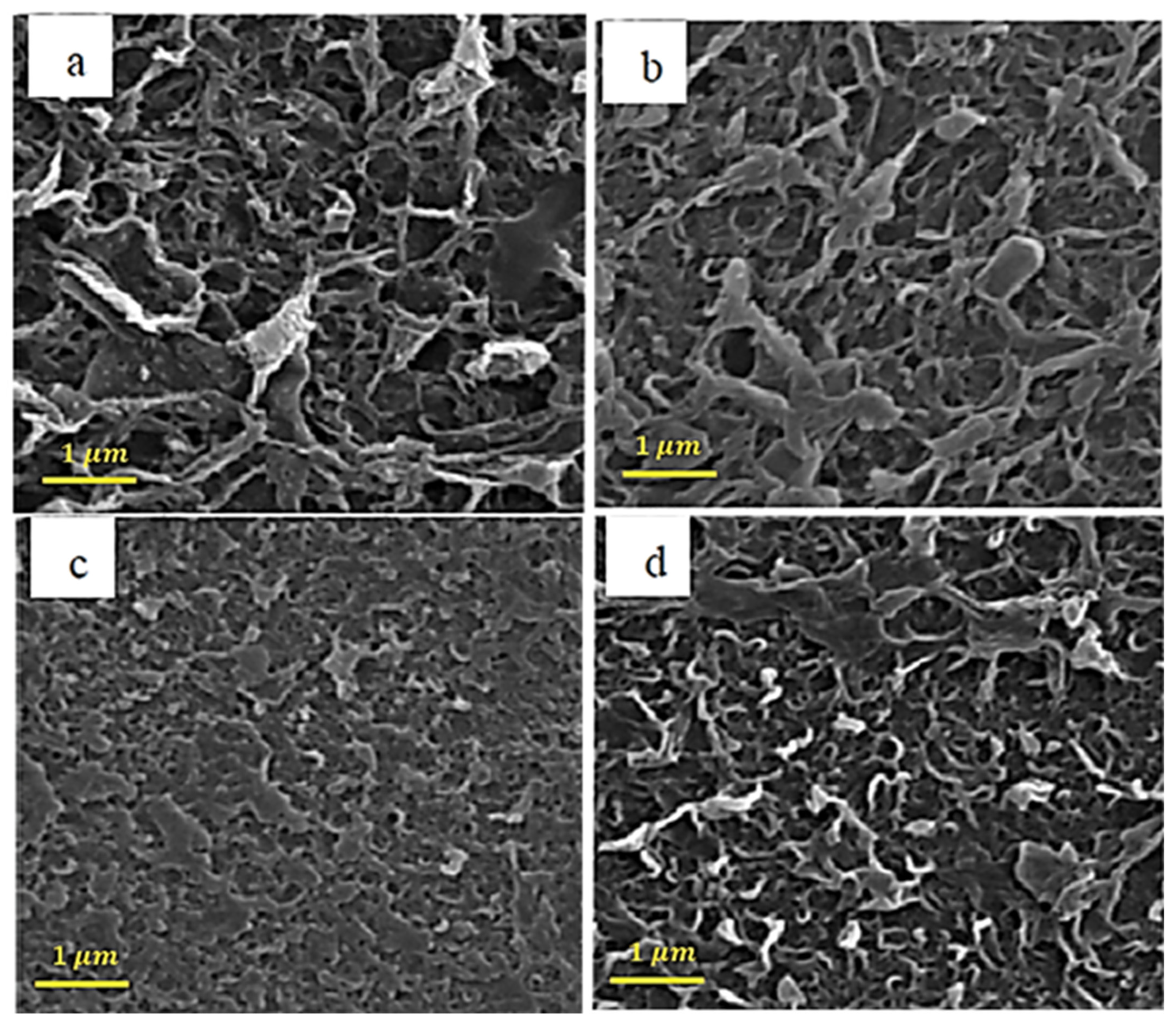 Membranes 13 00031 g002