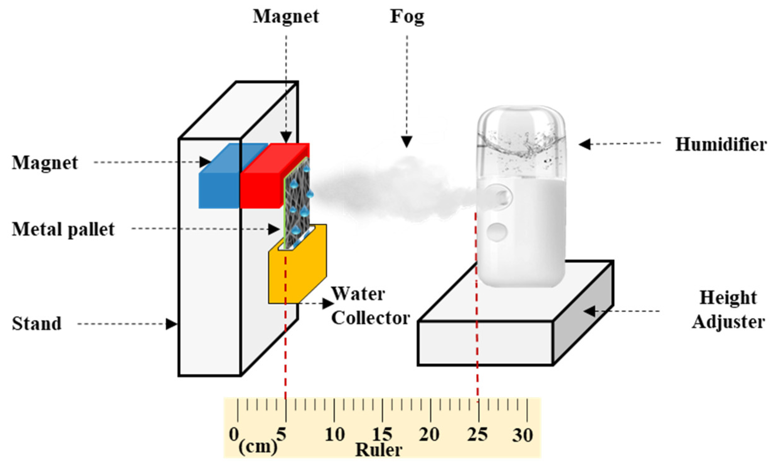 Membranes 13 00032 g002
