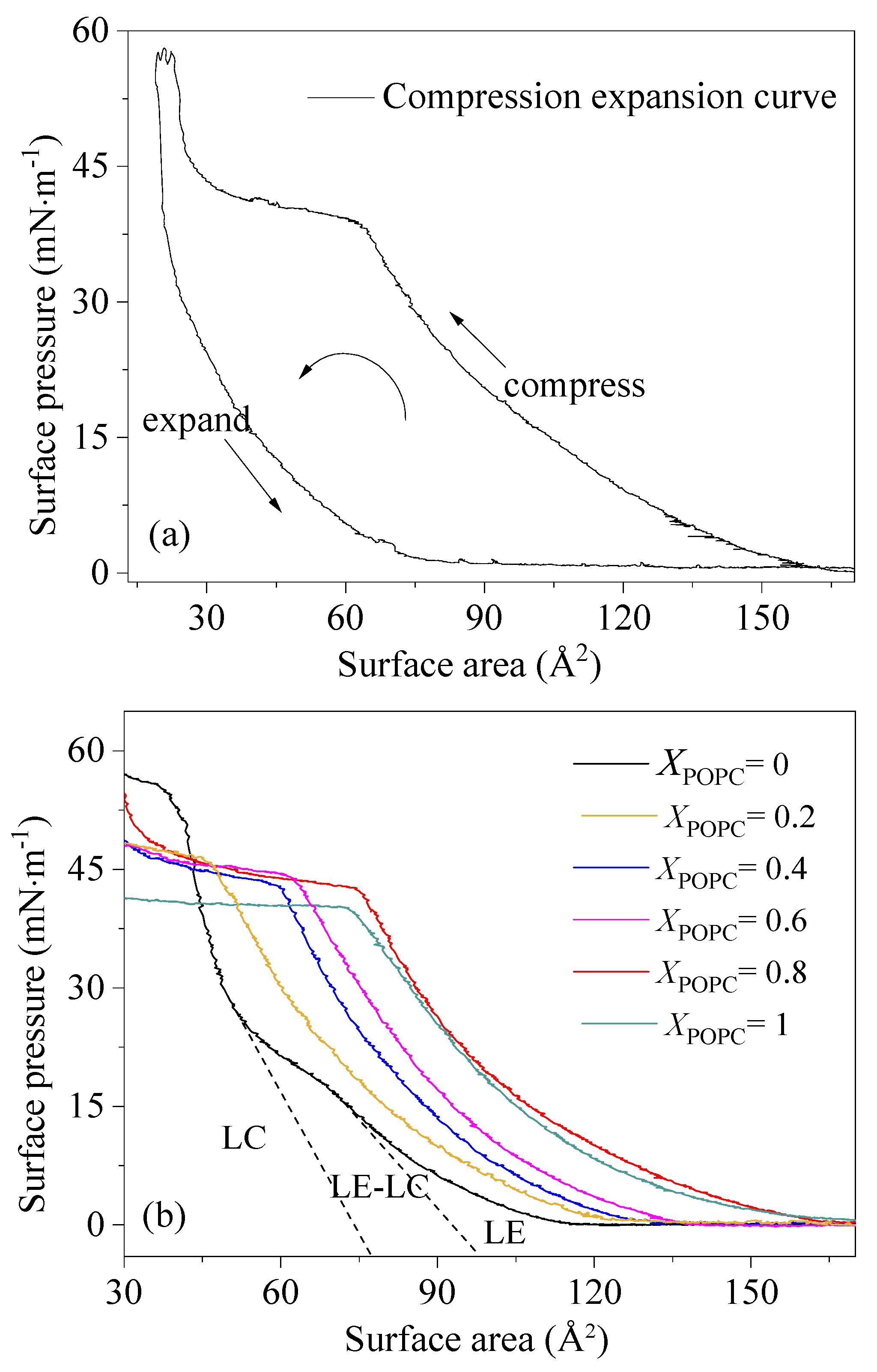 Membranes 13 00033 g001