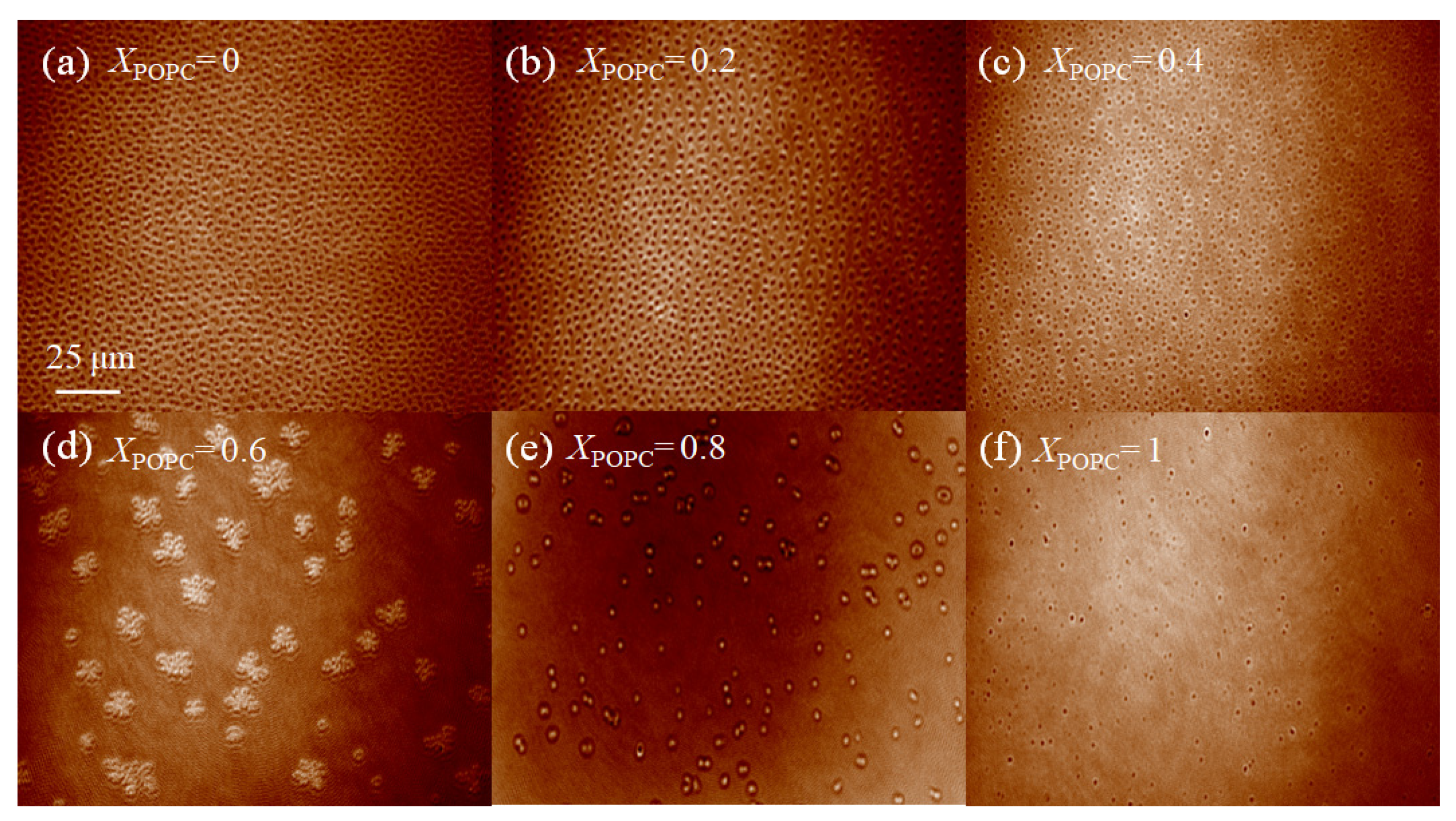Membranes 13 00033 g004