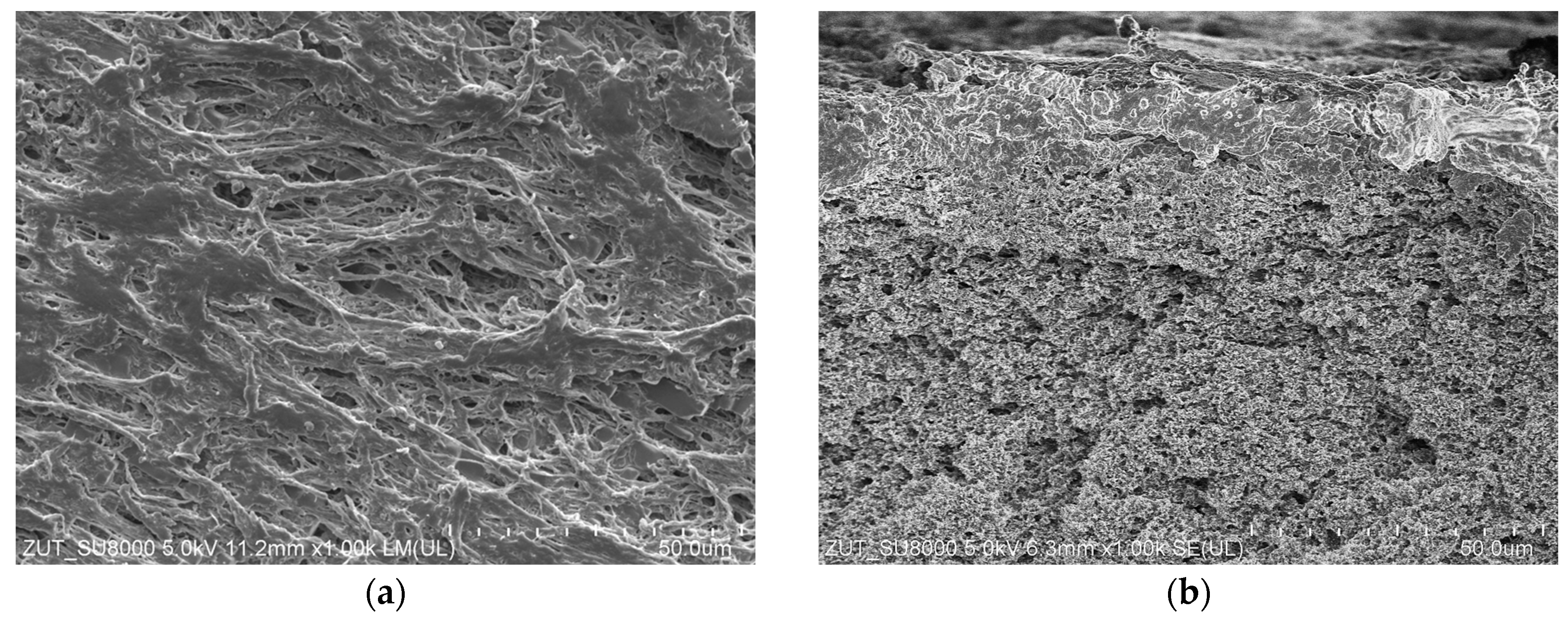 Membranes 13 00035 g004a Membranes 13 00035 g004a