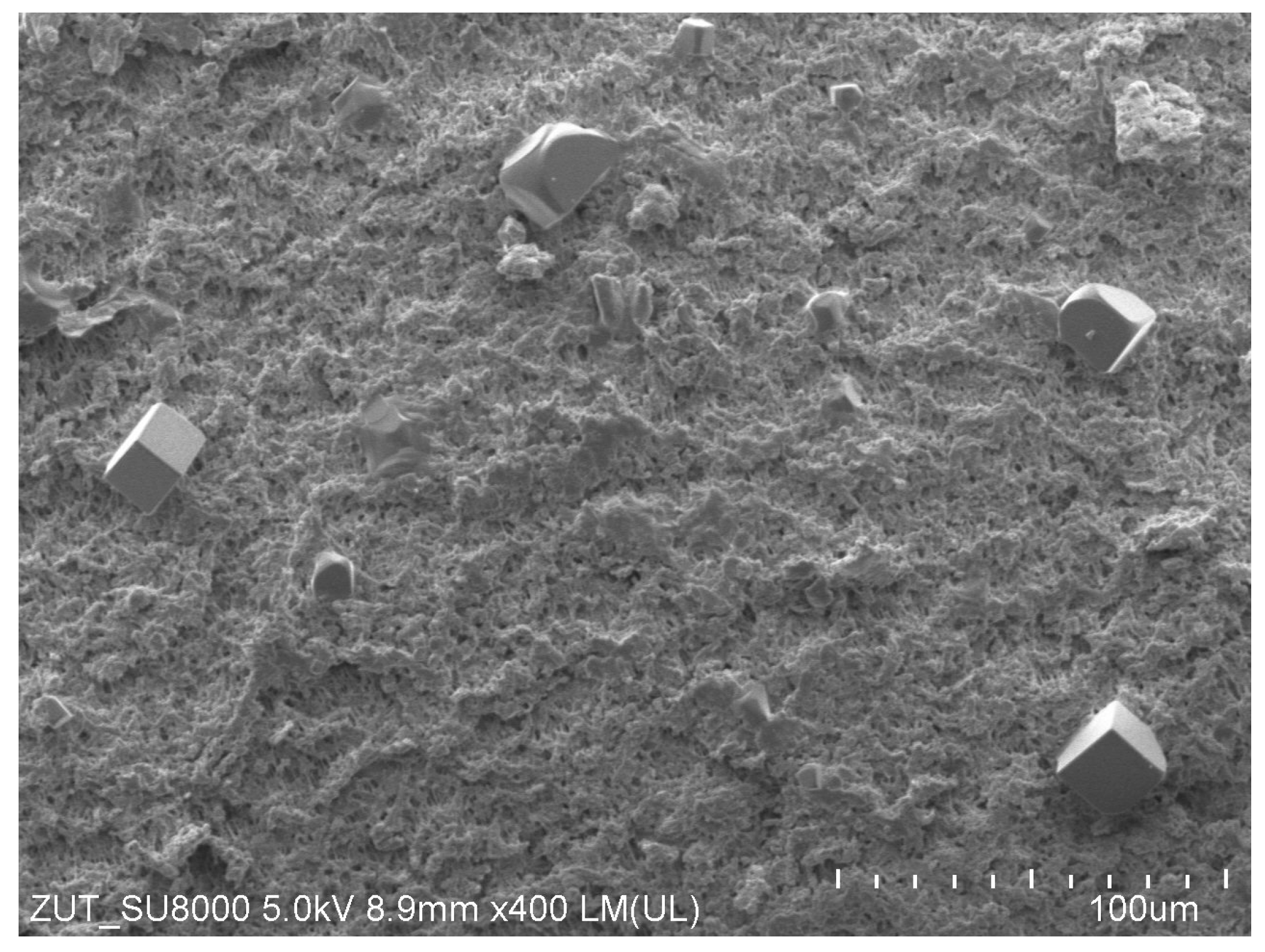 Membranes 13 00035 g006 Membranes 13 00035 g006