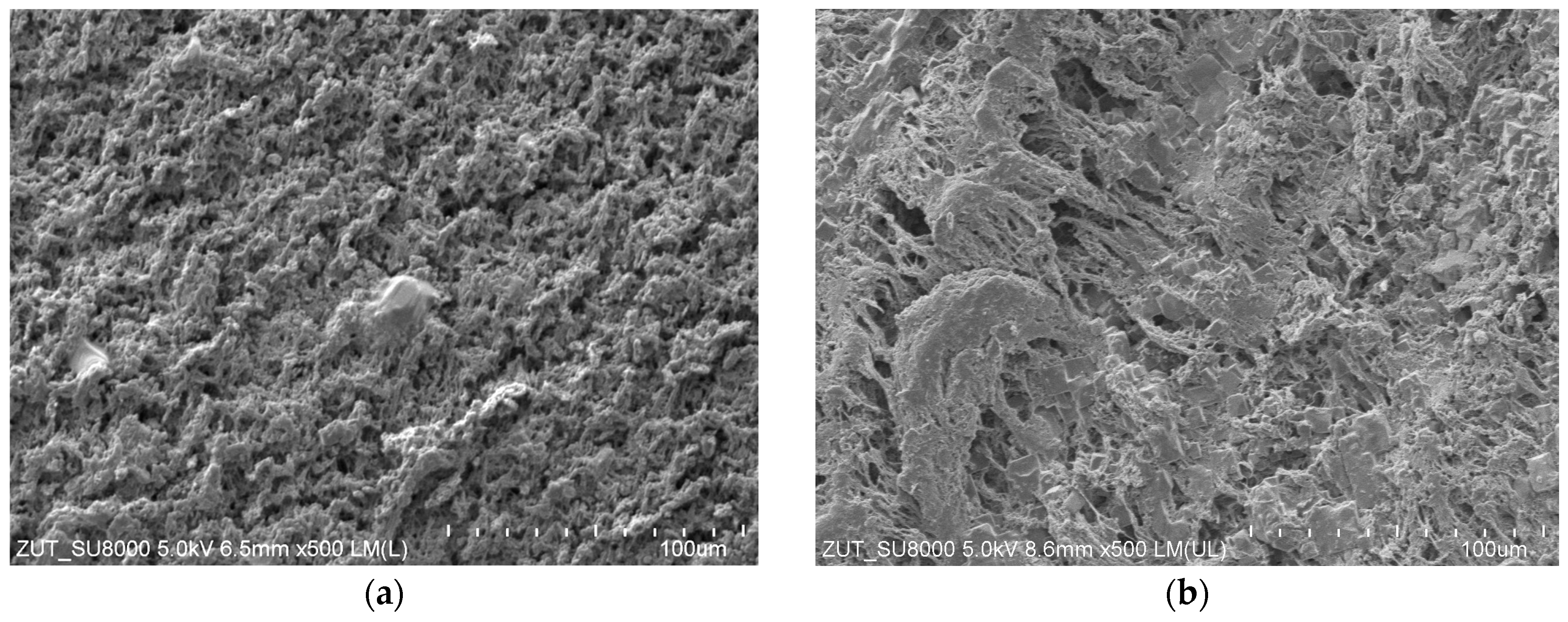 Membranes 13 00035 g008 Membranes 13 00035 g008