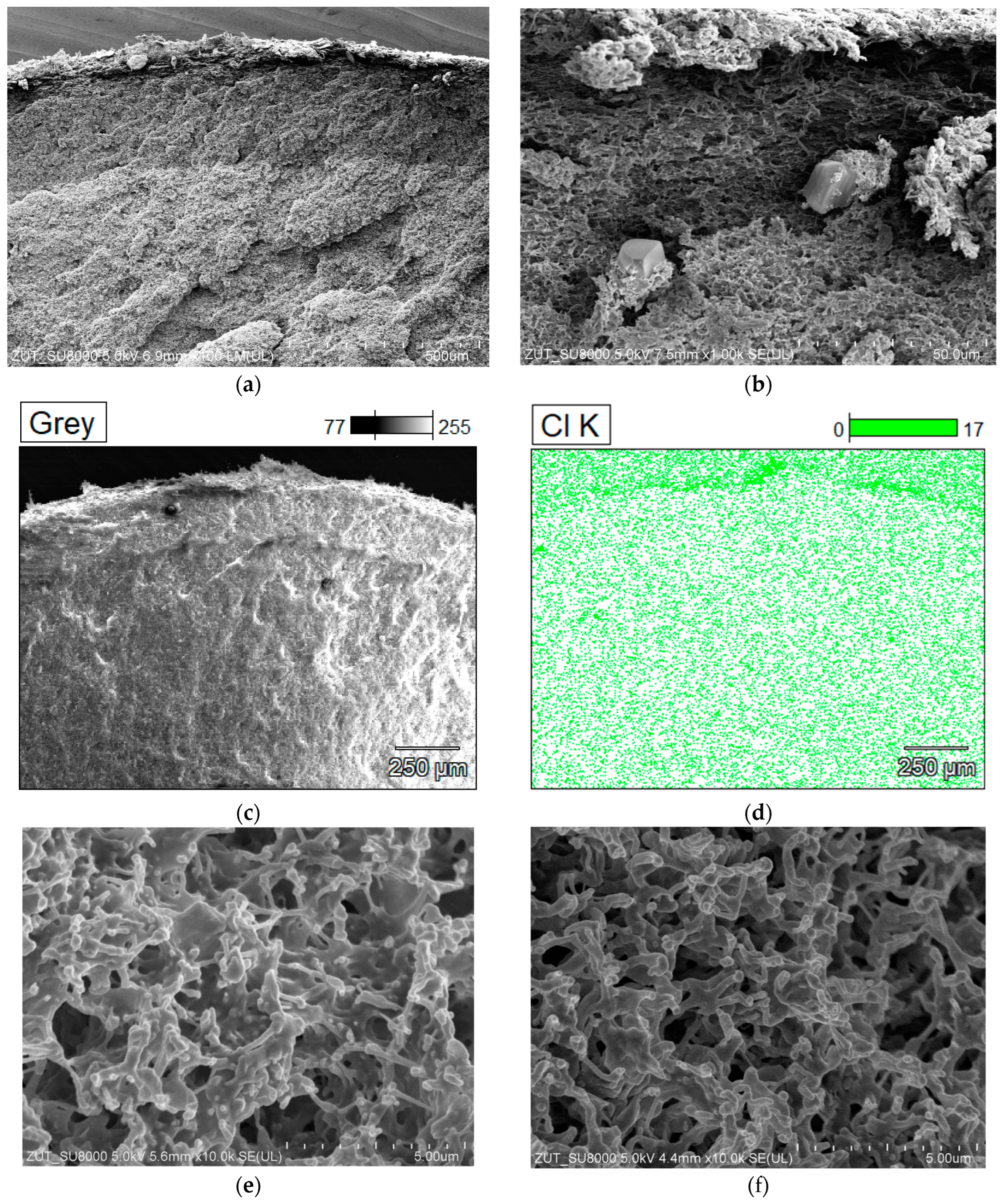 Membranes 13 00035 g013 Membranes 13 00035 g013