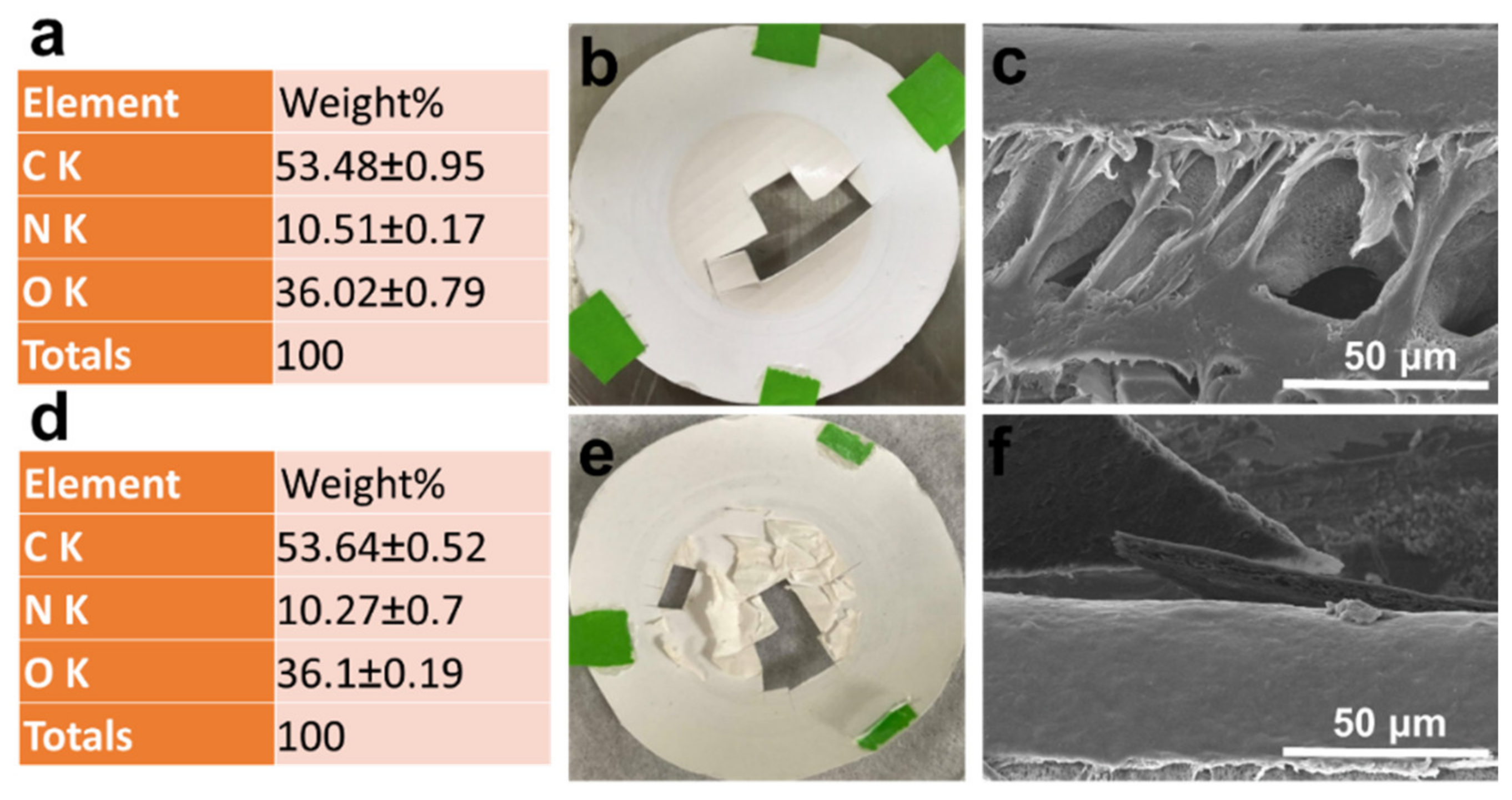 Membranes 13 00040 g009