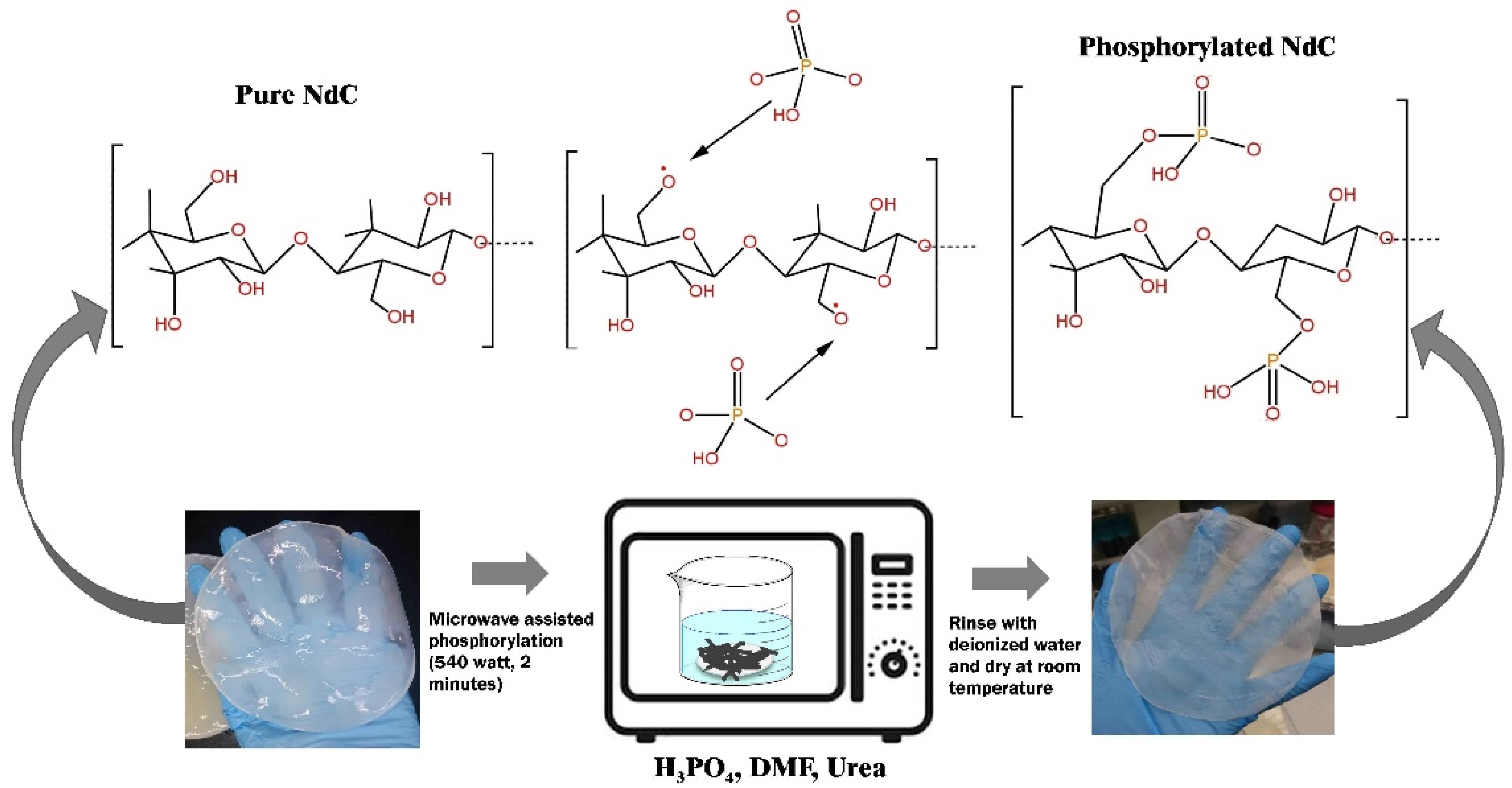 Membranes 13 00043 g001