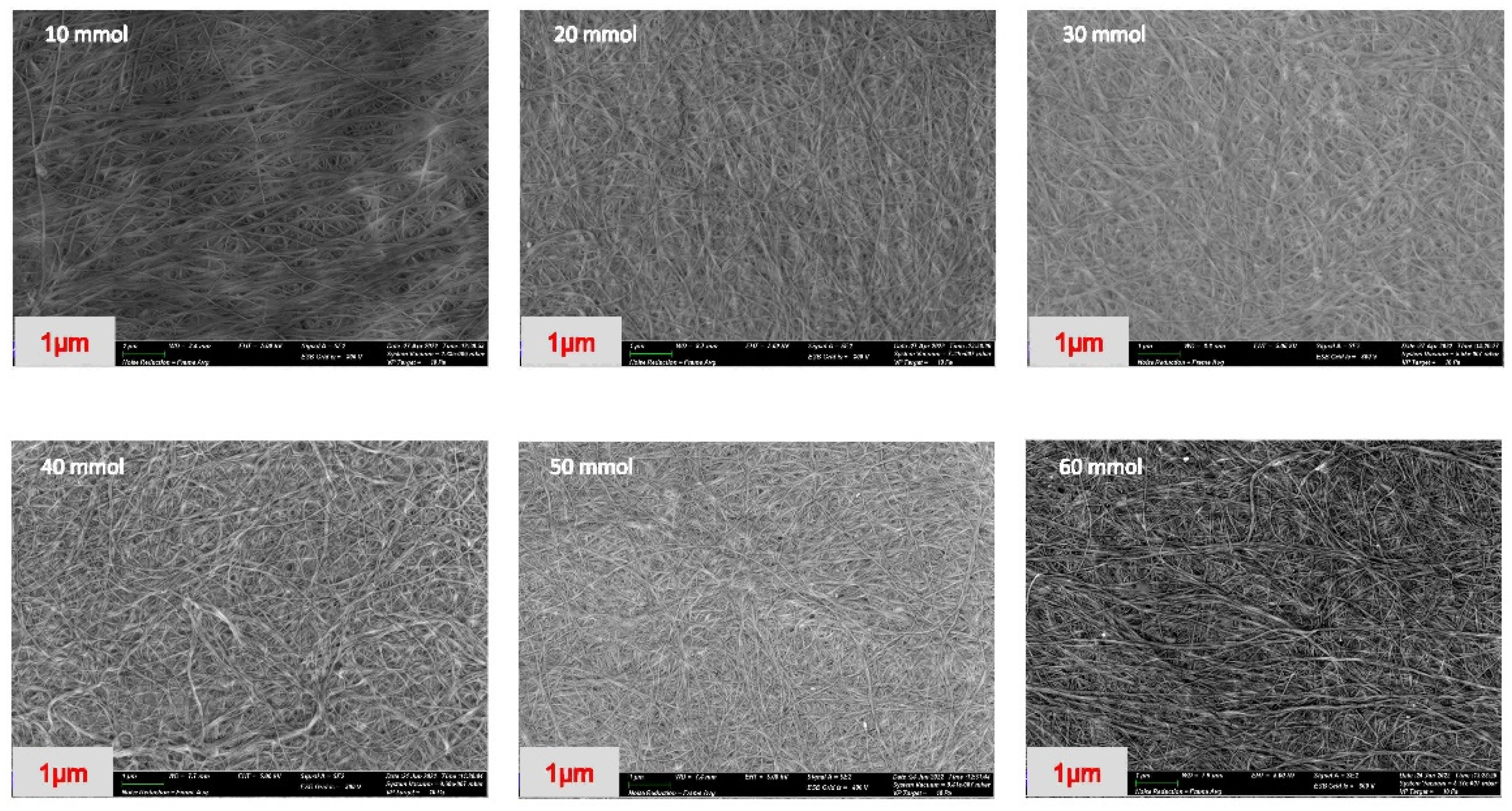 Membranes 13 00043 g002