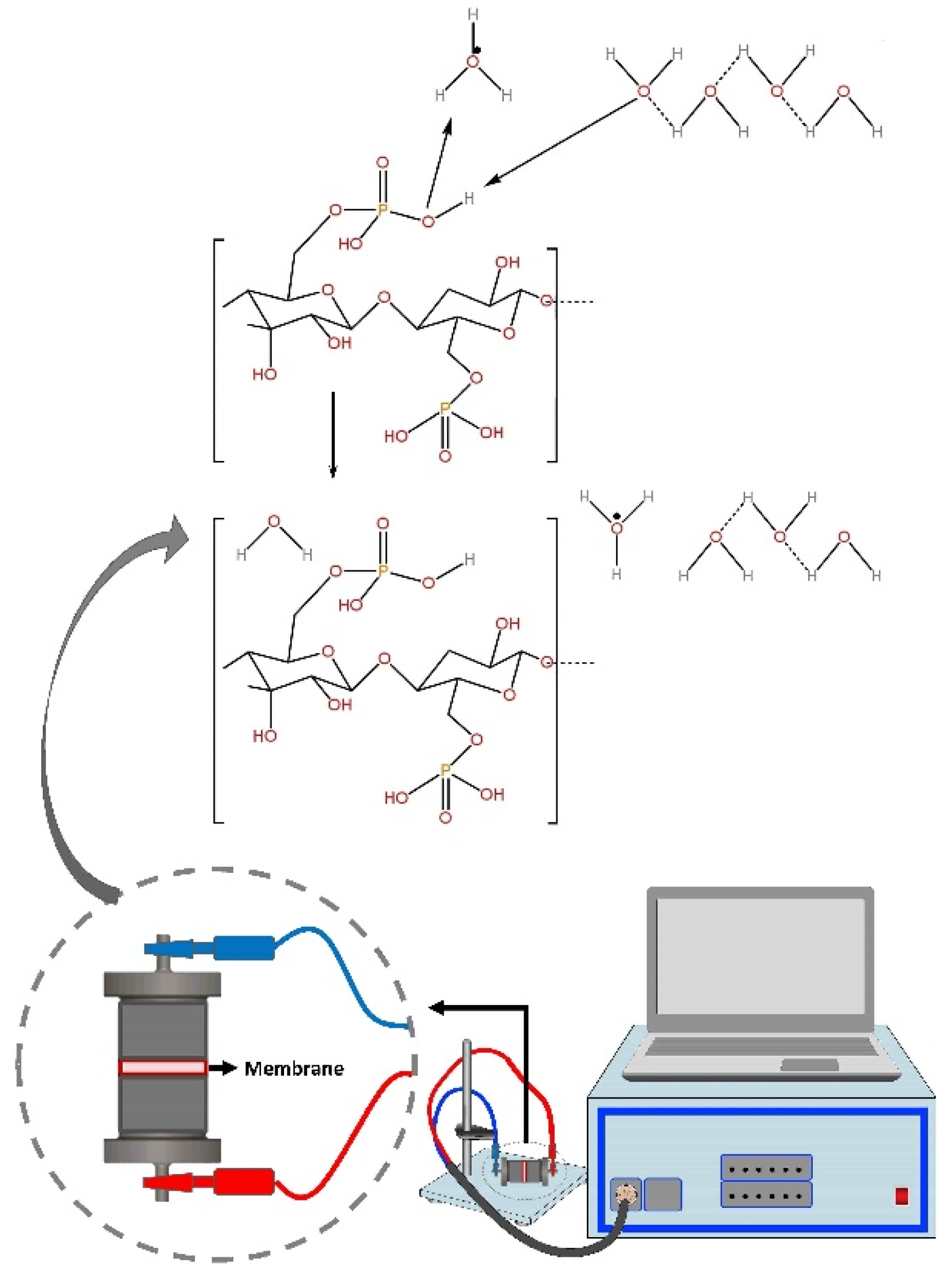 Membranes 13 00043 g004