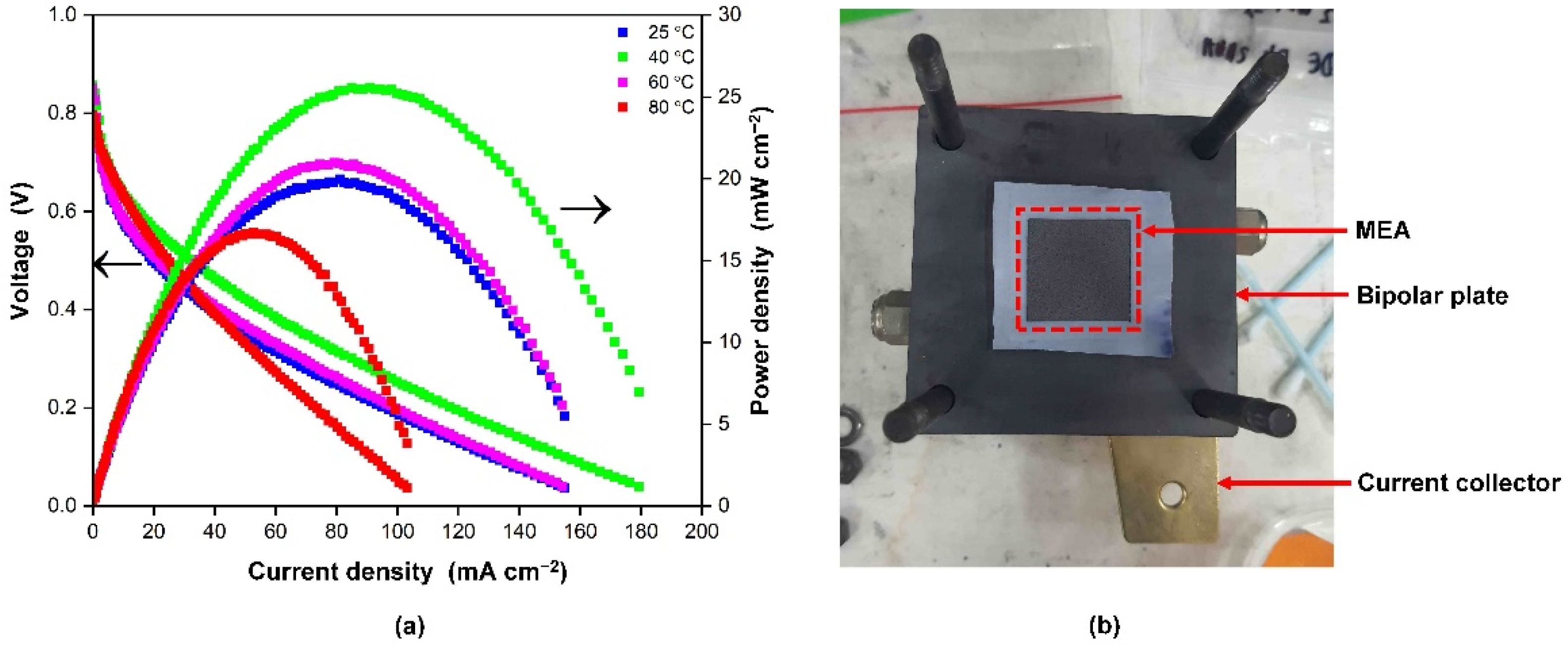 Membranes 13 00043 g008